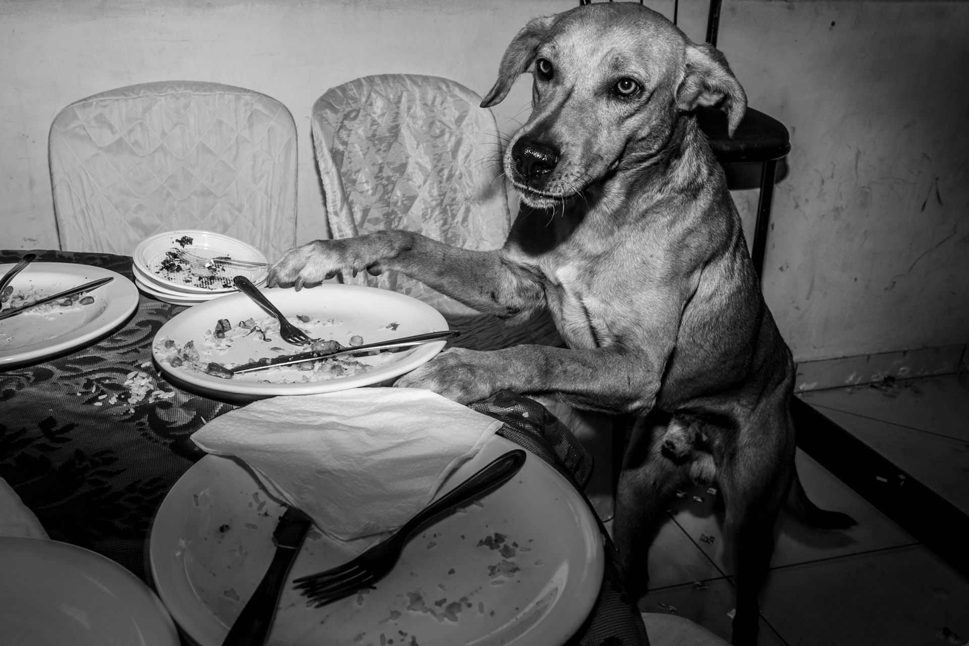 Casamento Kênia e Marcel em Itamogi MG - 2 - 27