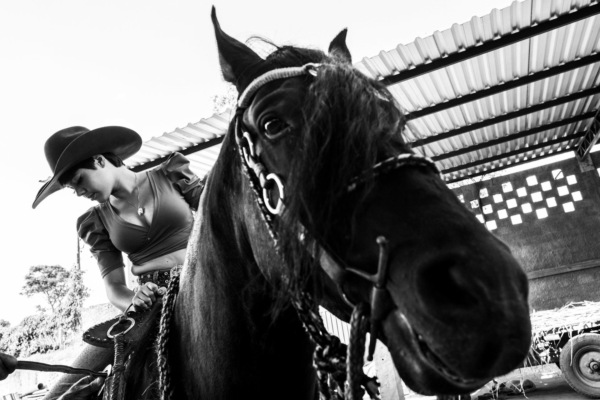 Dia de Haras com a Muriel em Itamogi MG - 2 - 0