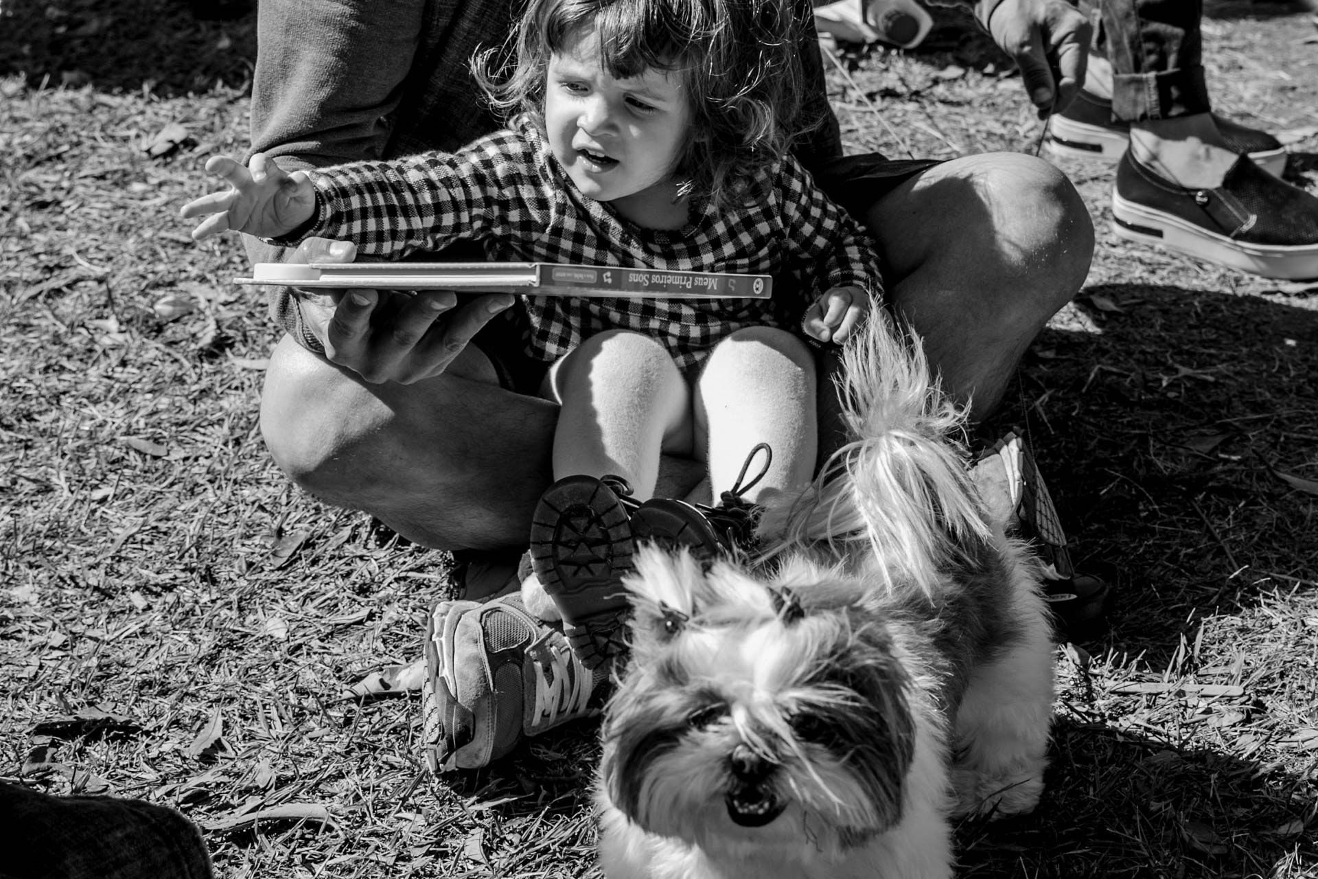 Aniversário de 2 anos da Alice no Parque do Ibirapuera em São Paulo SP - 2 - 8