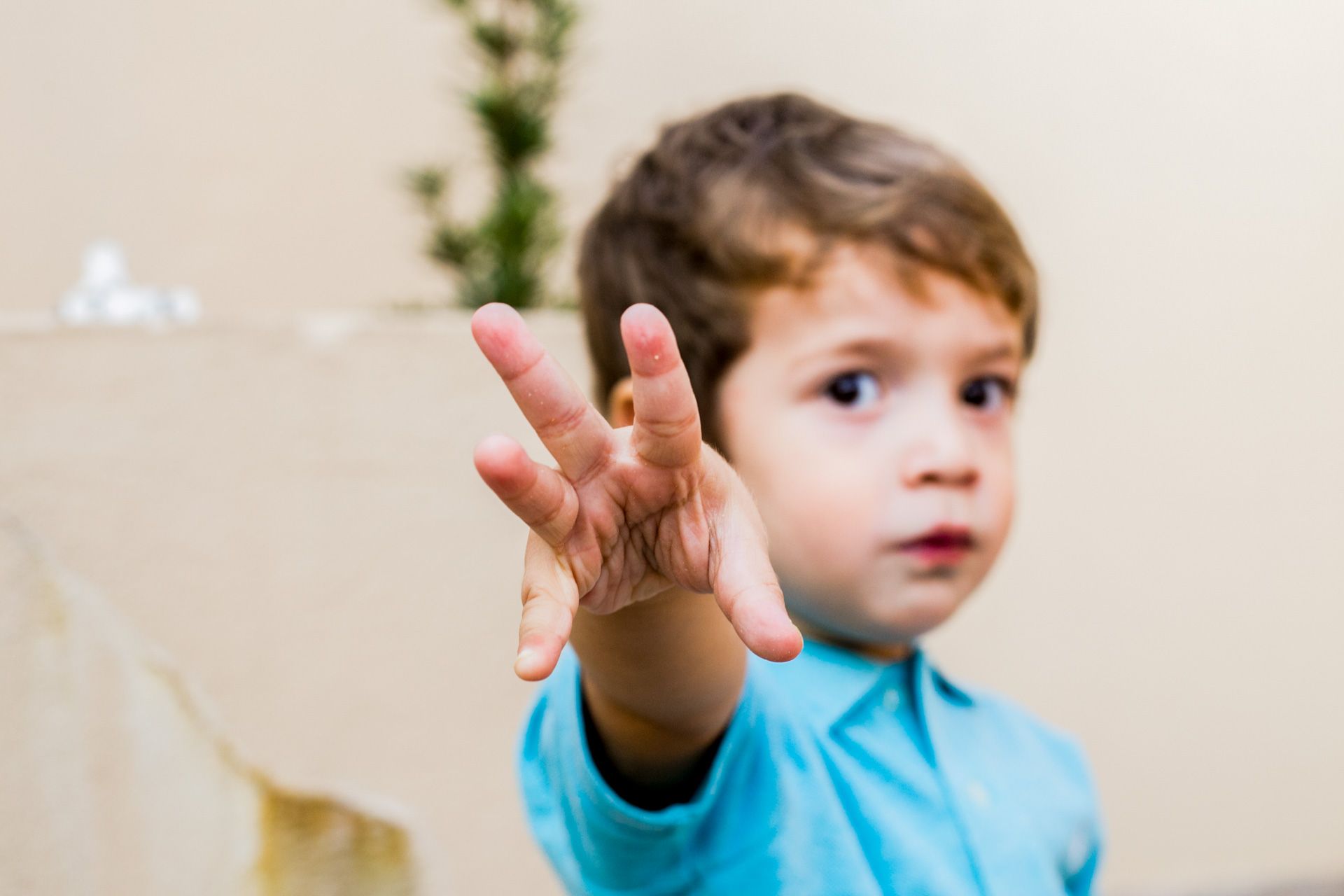 Aniversário de 2 anos do Bernardo em São Paulo SP - 2 - 1
