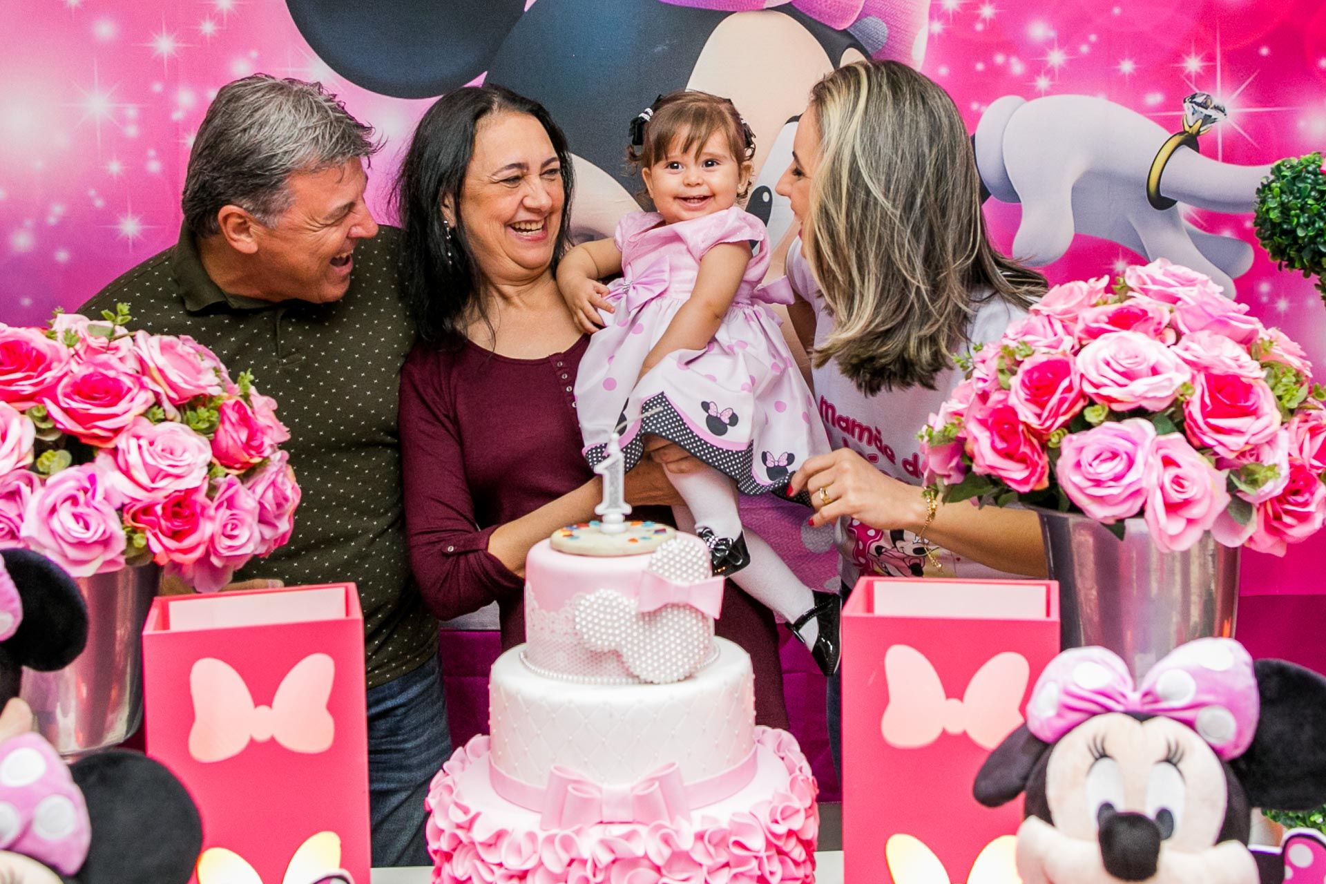 Aniversário de 1 ano da Luísa em Campinas SP - 2 - 2