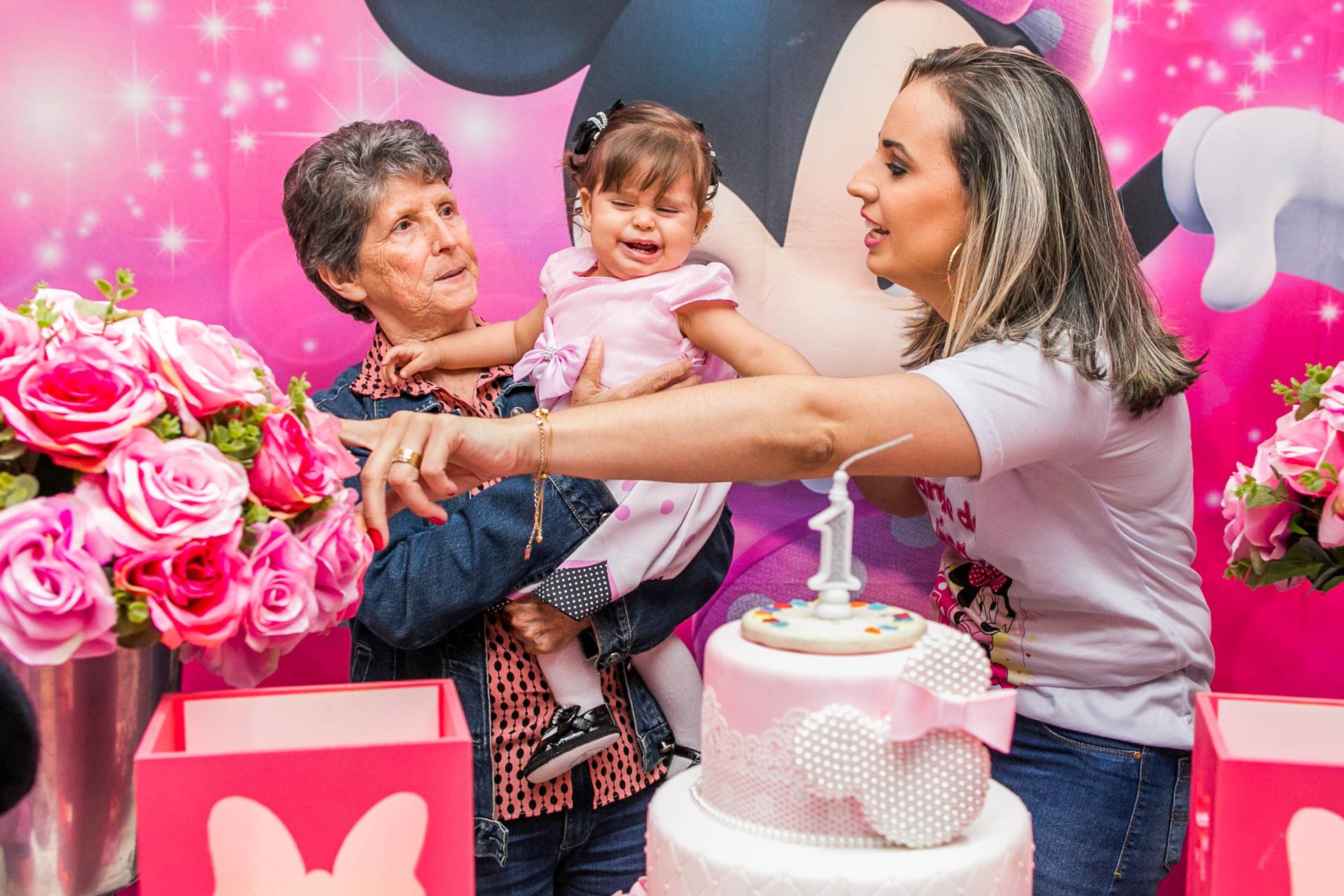 Aniversário de 1 ano da Luísa em Campinas SP - 2 - 3