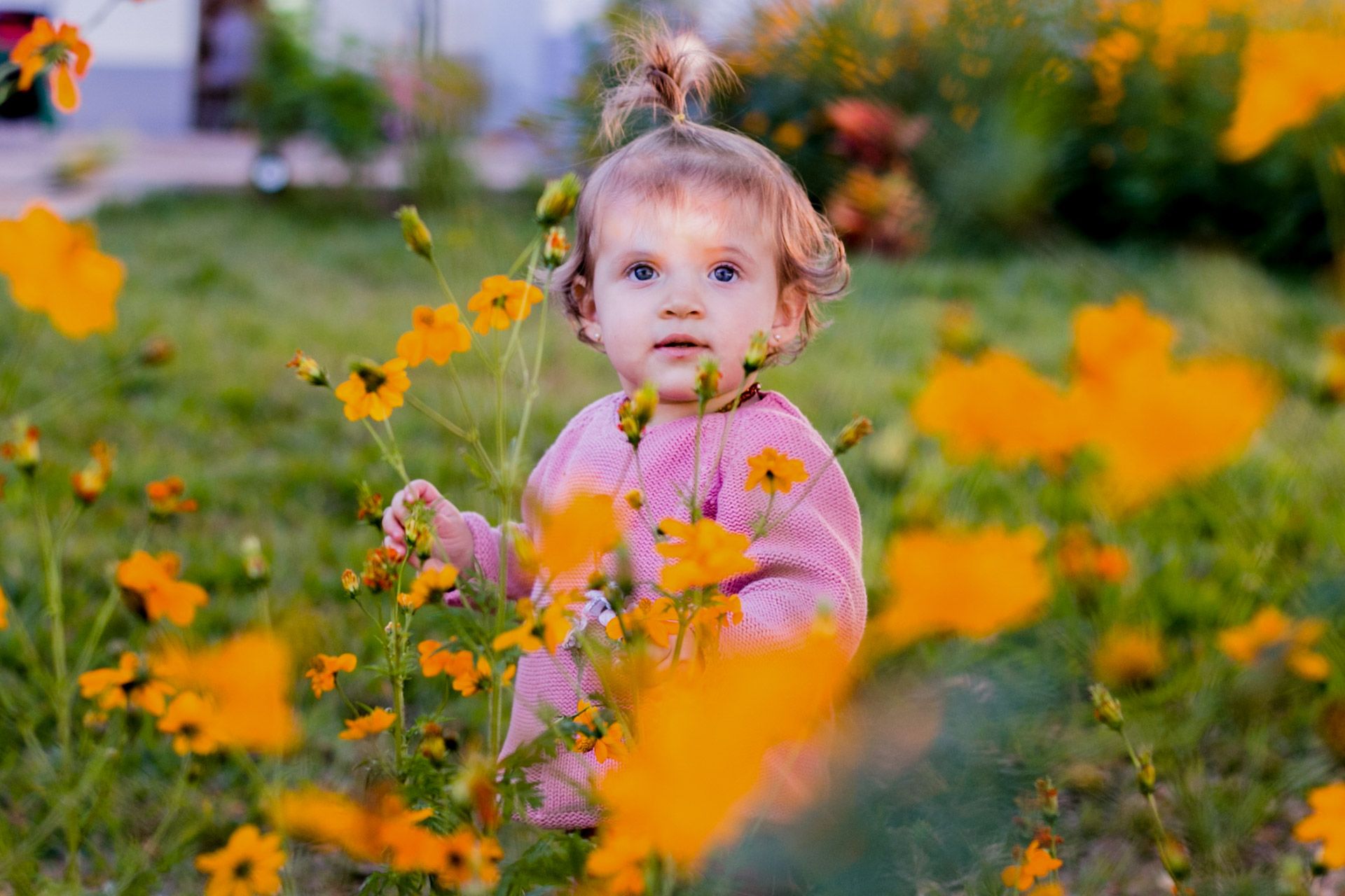 Experiências de Alice em Itamogi MG - 2 - 12
