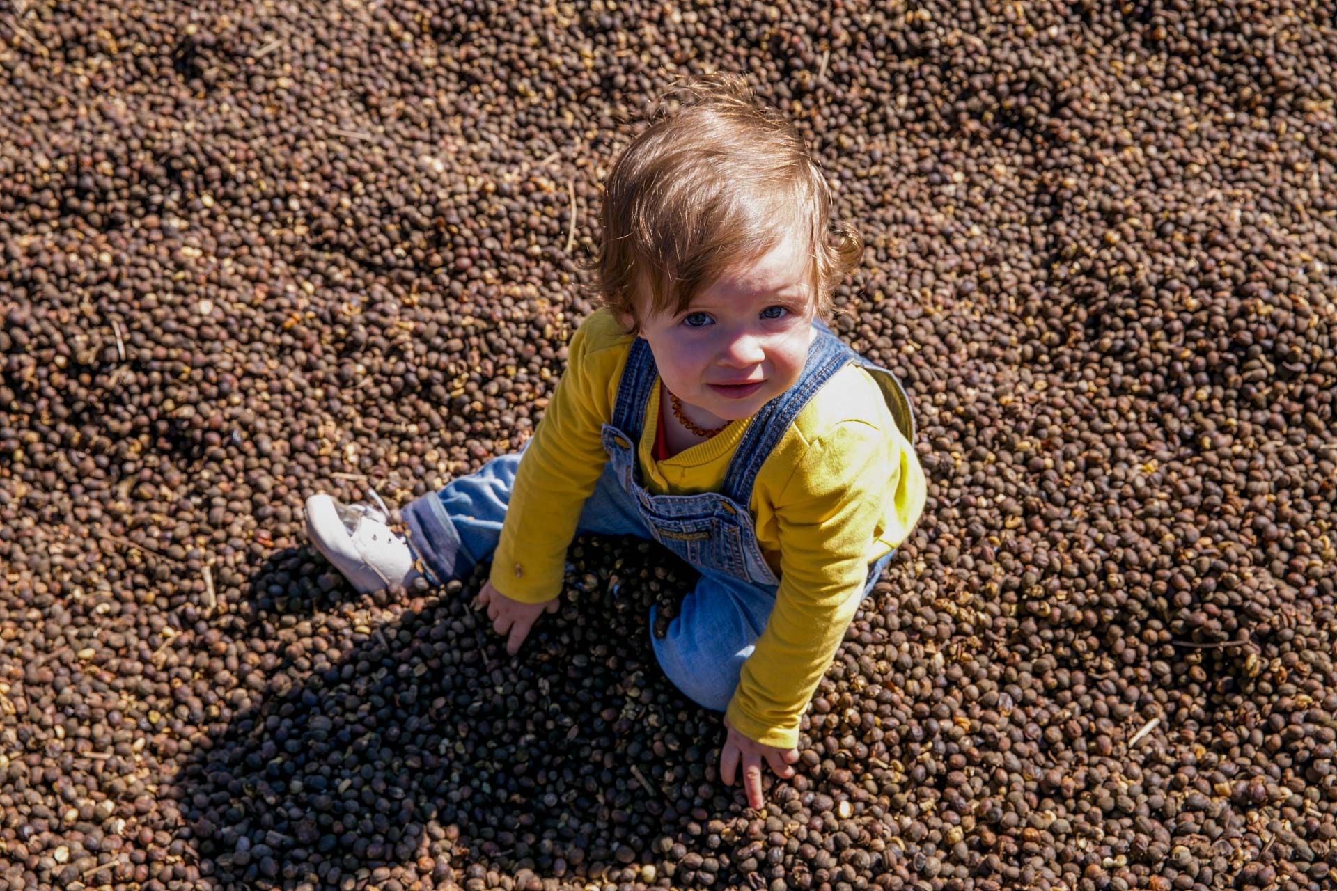 Experiências de Alice em Itamogi MG - 2 - 2
