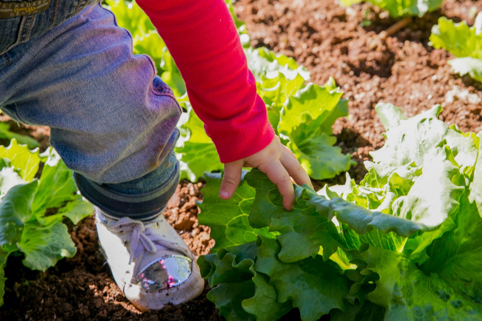 Experiências de Alice em Itamogi MG - 2 - 6