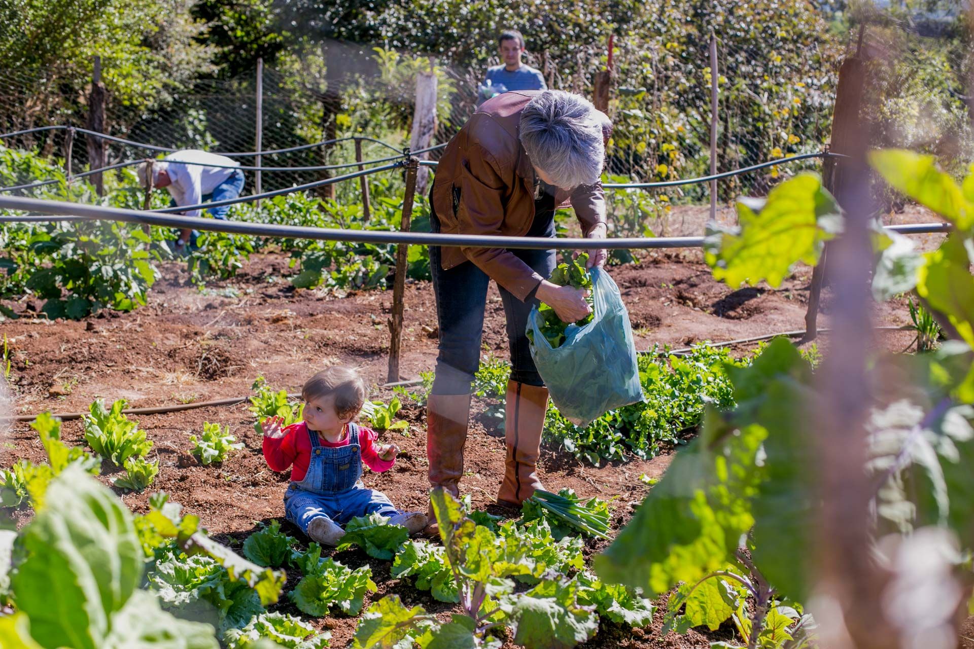 Experiências de Alice em Itamogi MG - 2 - 7