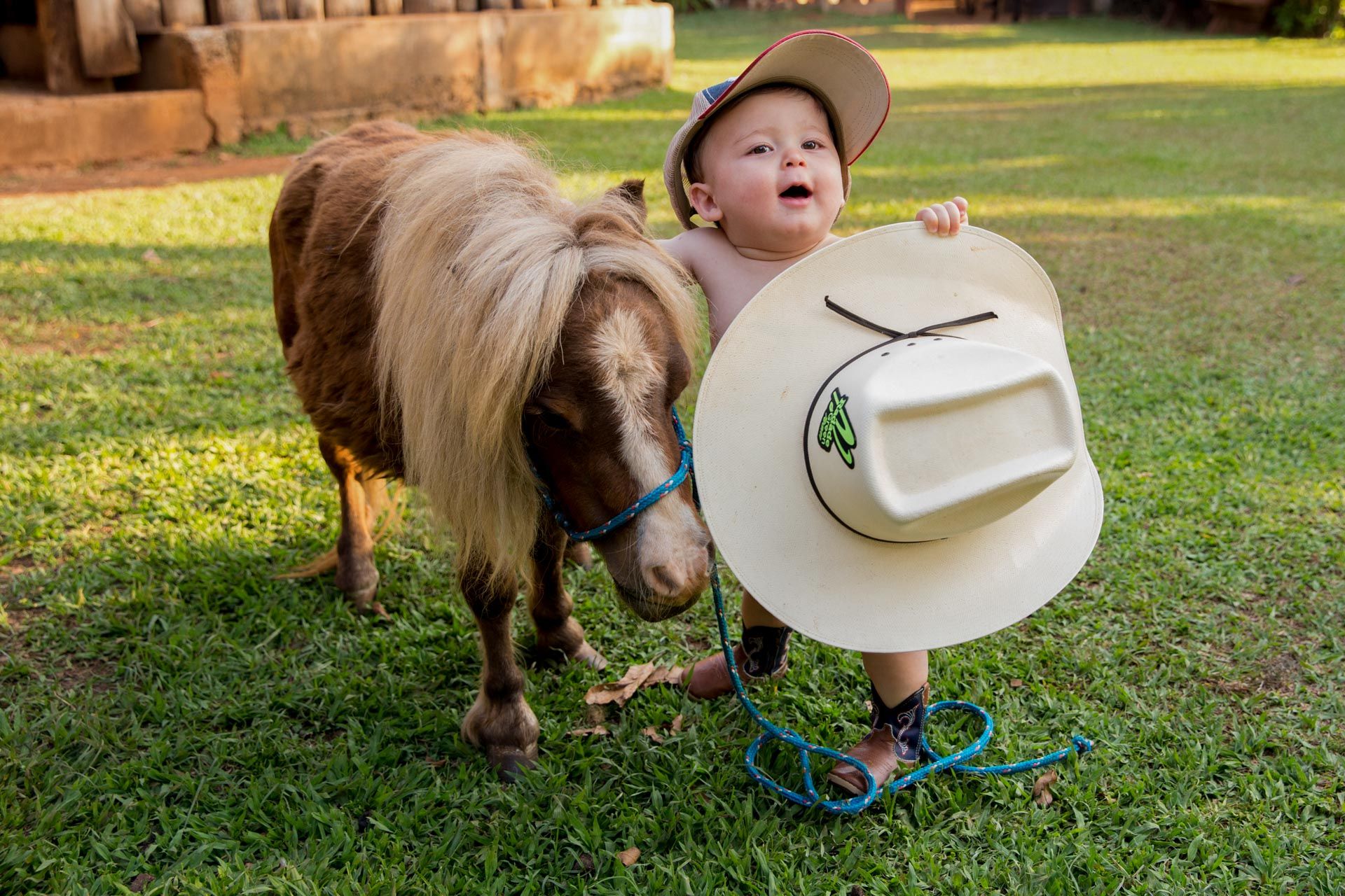 Fazendinha com João Gabriel em Santo Antônio da Alegria SP - 2 - 1