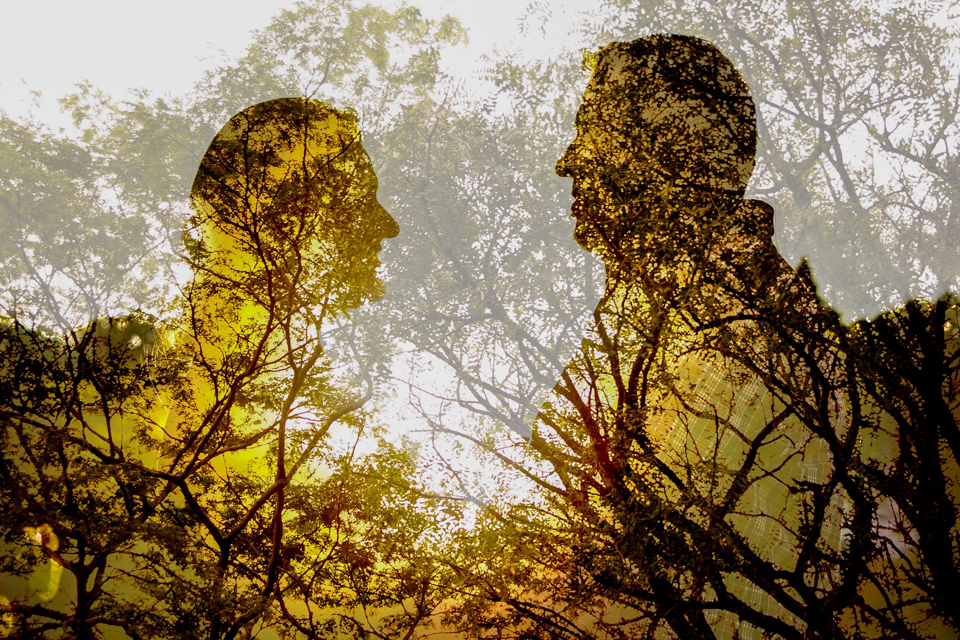 Pré Casamento Erika e Ivo em São Paulo SP - 2 - 4