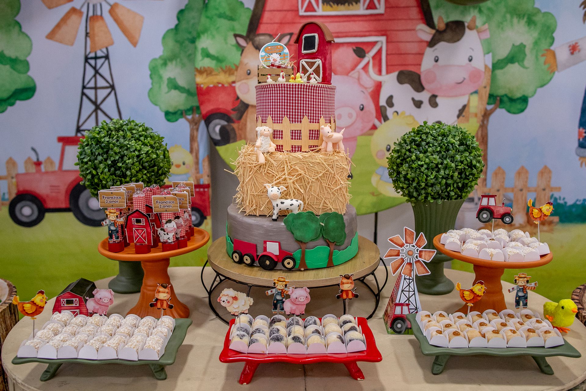 Aniversário do Francisco - 2 anos em Itamogi MG - 2 - 2