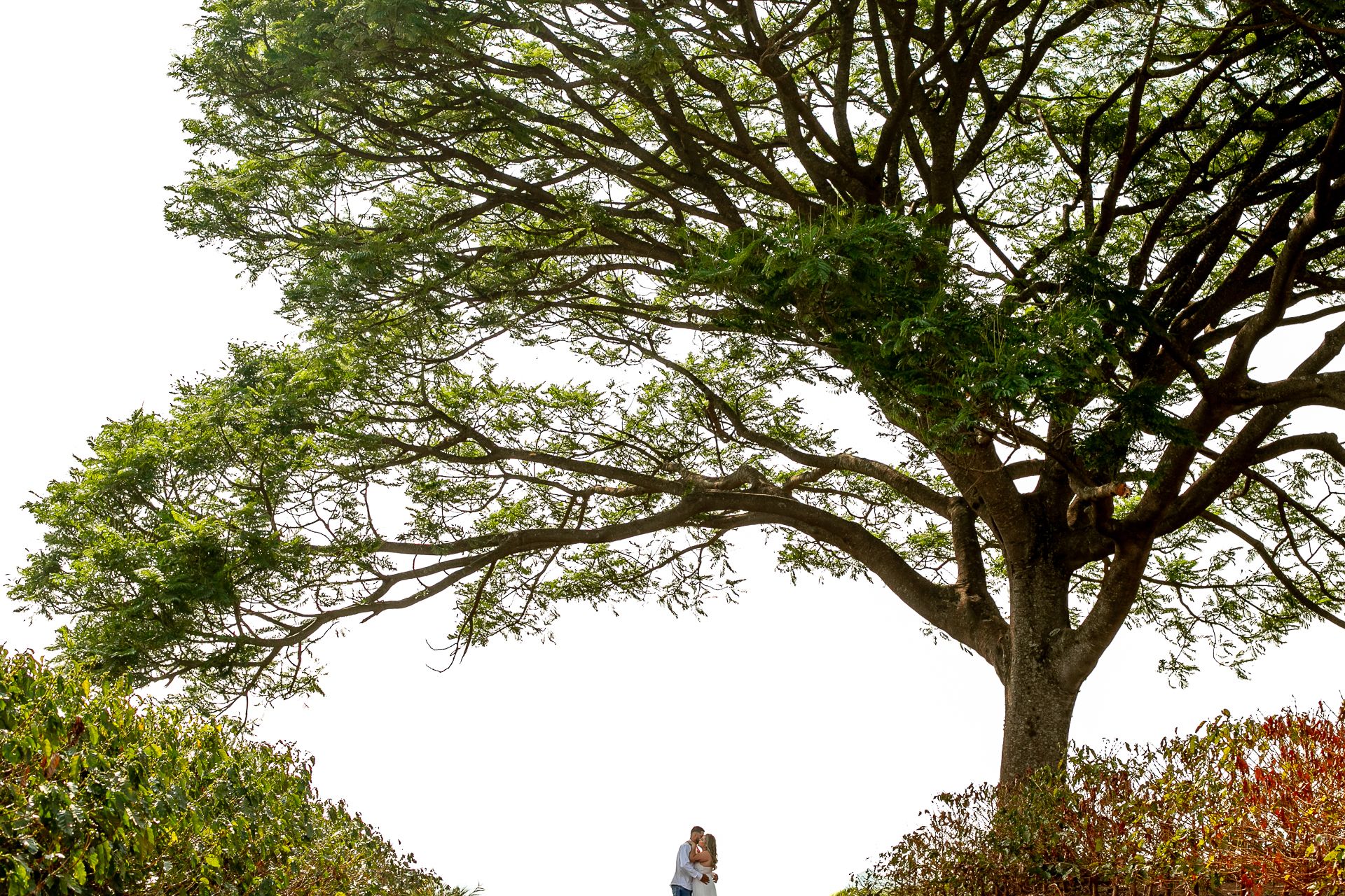 Pré Casamento Thaís e Alan em Itamogi MG - 2 - 7