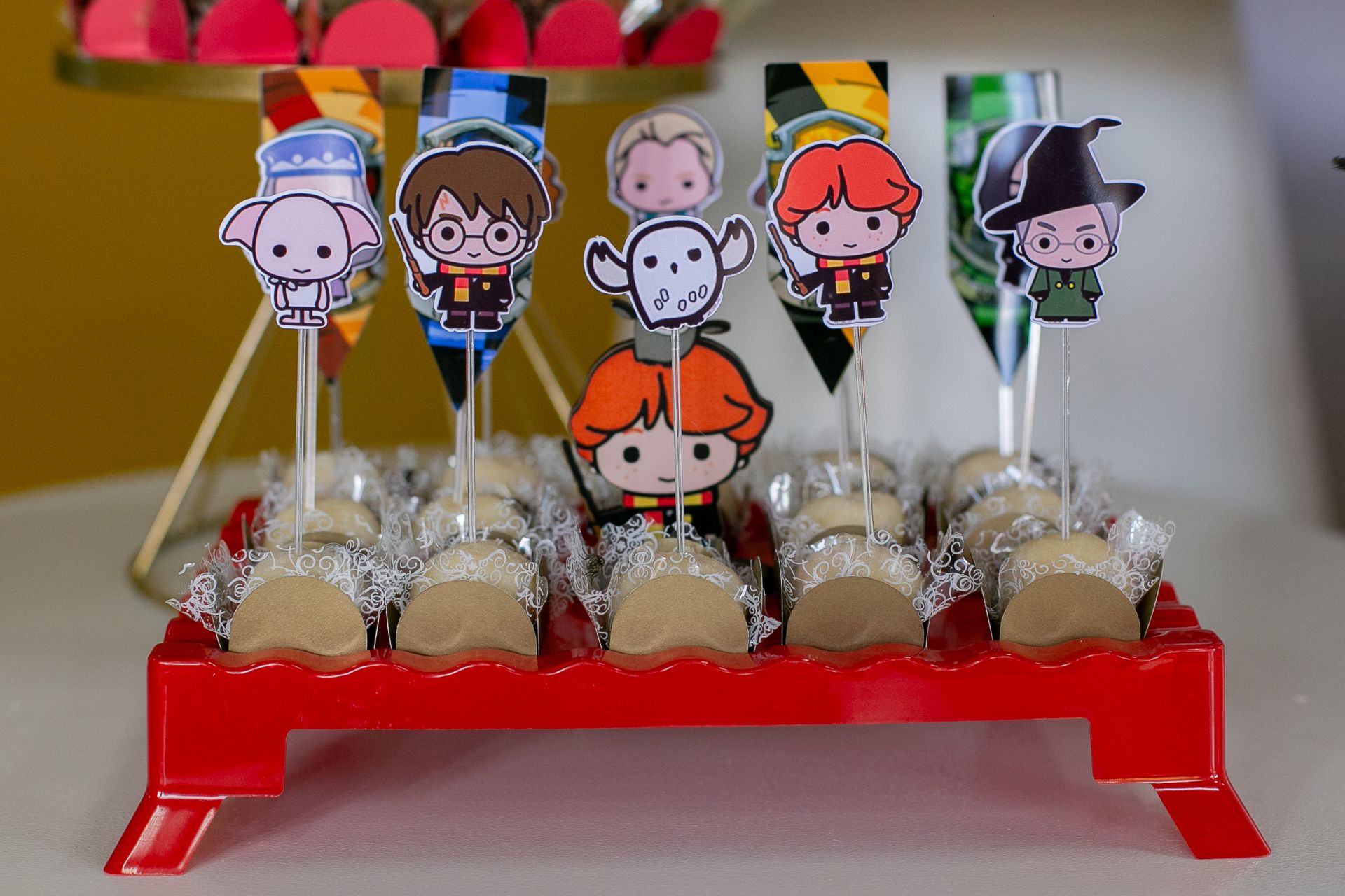 Aniversário de 1 ano da Gigi em Itamogi MG! - 2 - 1