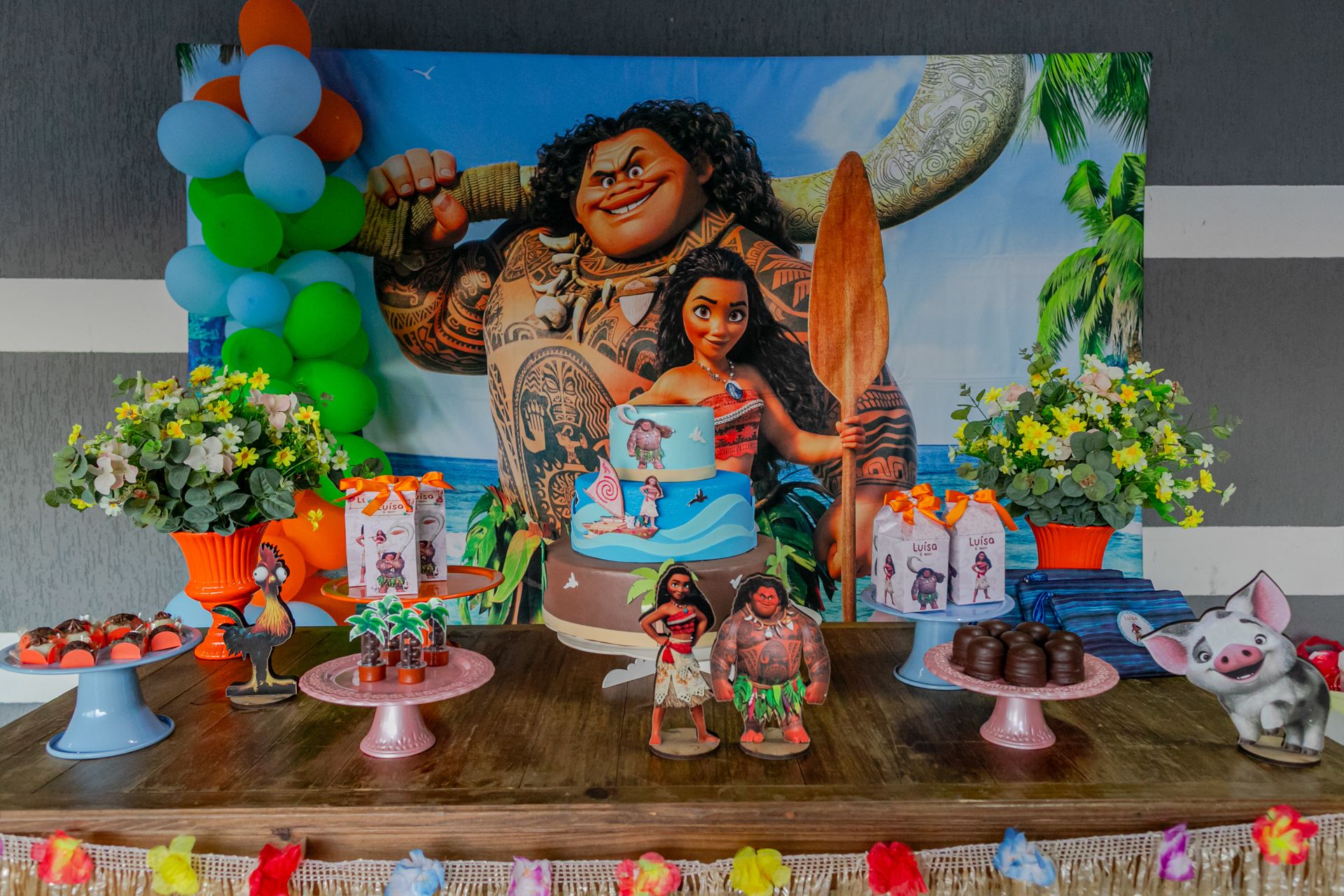 Aniversário de 6 anos da Luísa em Itamogi MG - 2 - 0