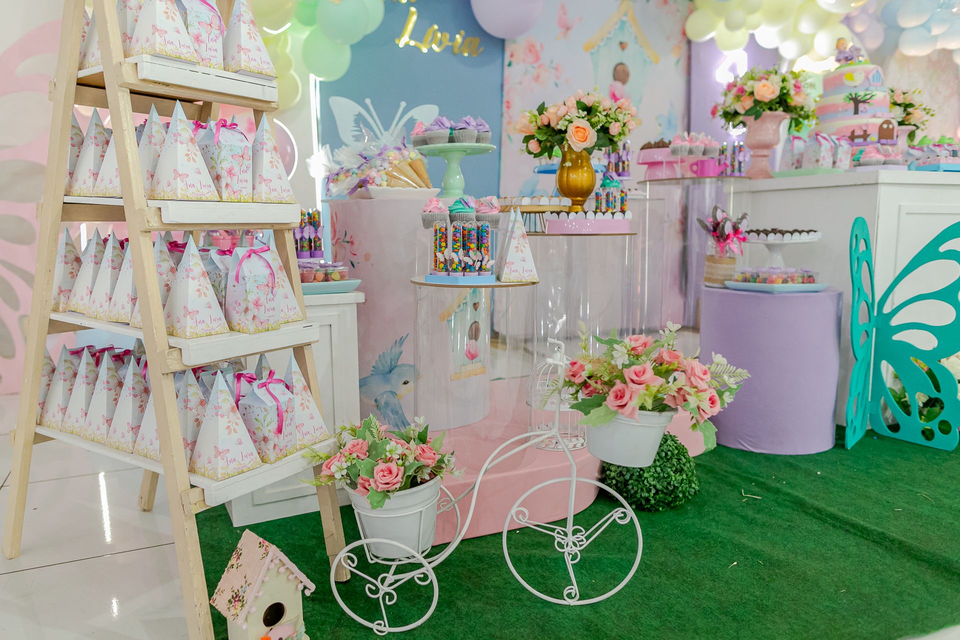 Aniversário de 1 ano da Ana Lívia em Itamogi MG - 2 - 2