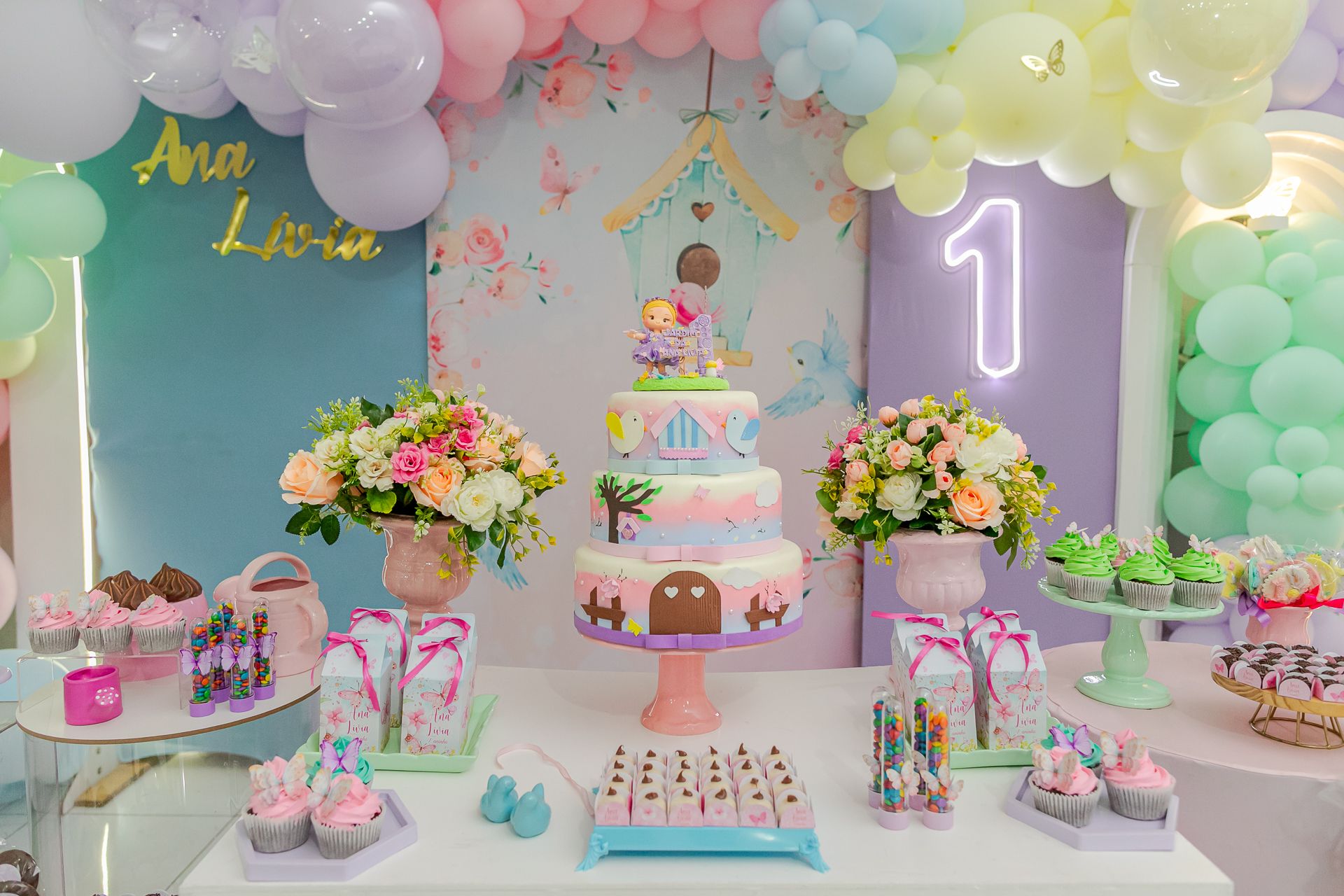 Aniversário de 1 ano da Ana Lívia em Itamogi MG - 2 - 3