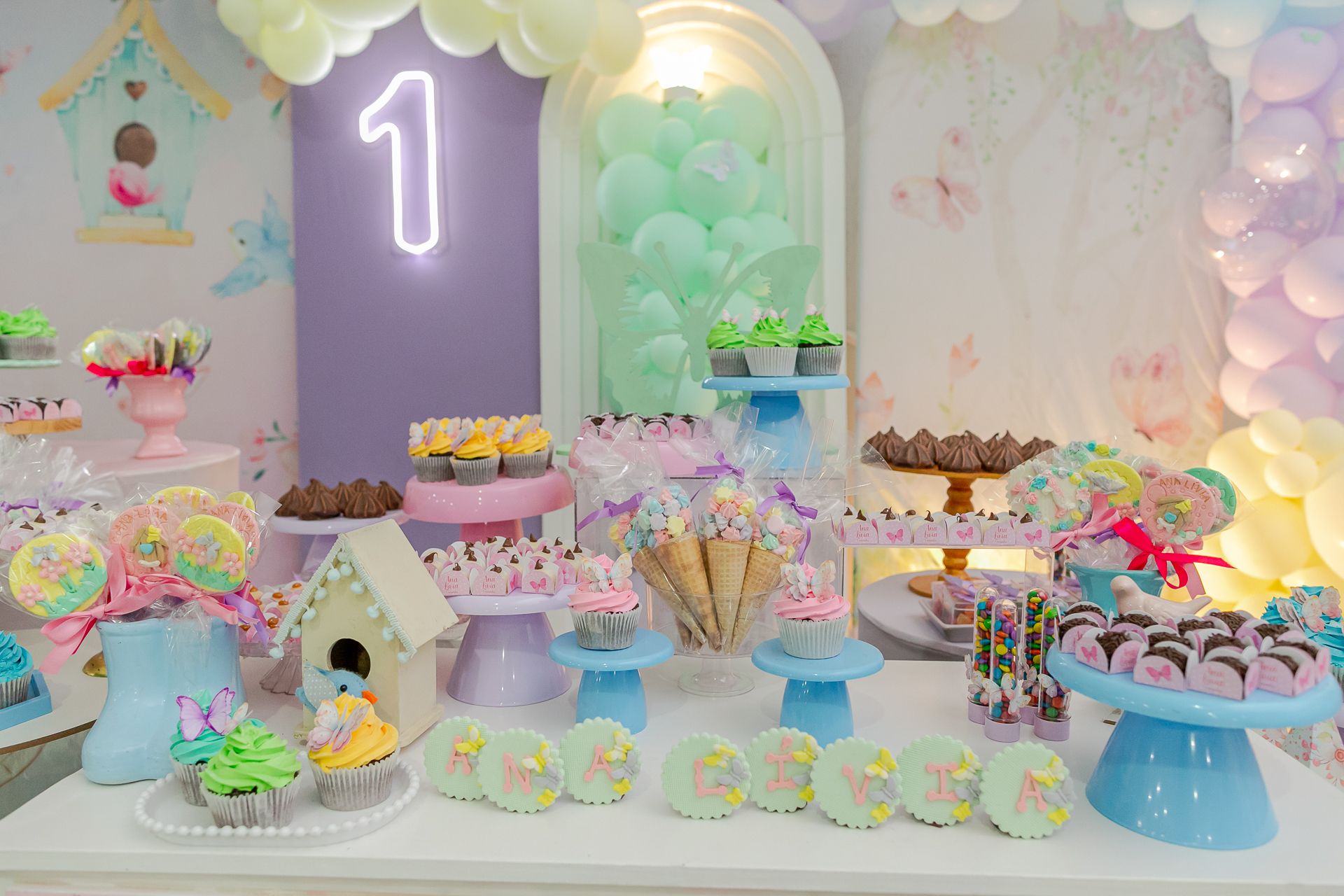 Aniversário de 1 ano da Ana Lívia em Itamogi MG - 2 - 4