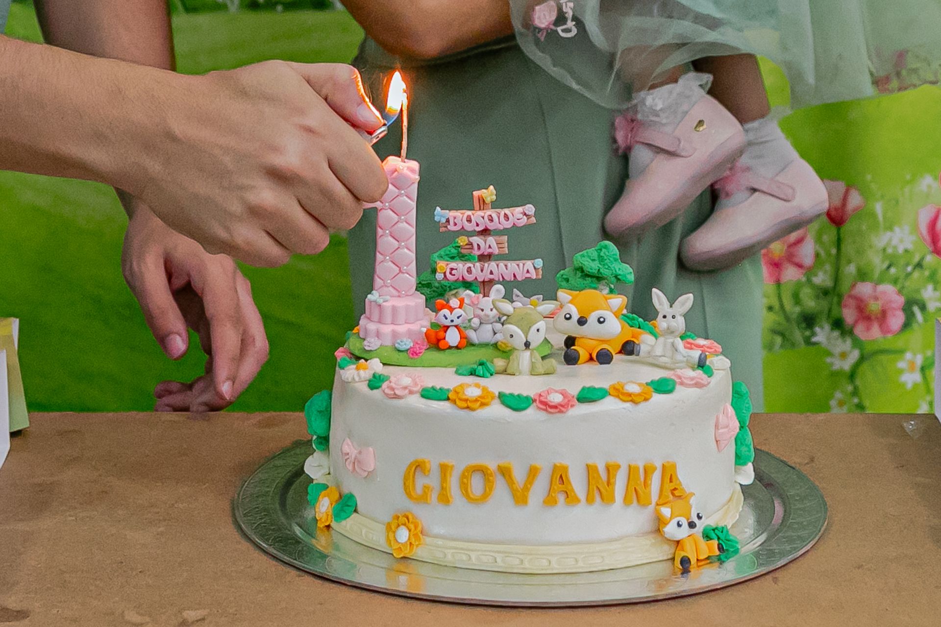 Aniversário de 1 ano da Giovanna em Itamogi MG - 2 - 16