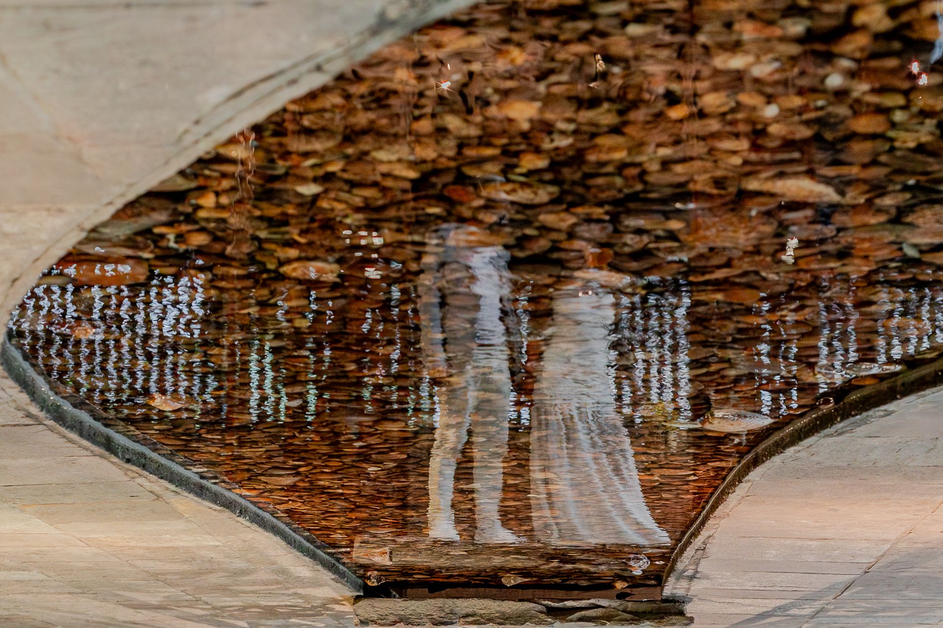 Casamento Civil Bia e Thiago no Restaurante Mani e Sesc Pompéia em São Paulo SP - 2 - 58