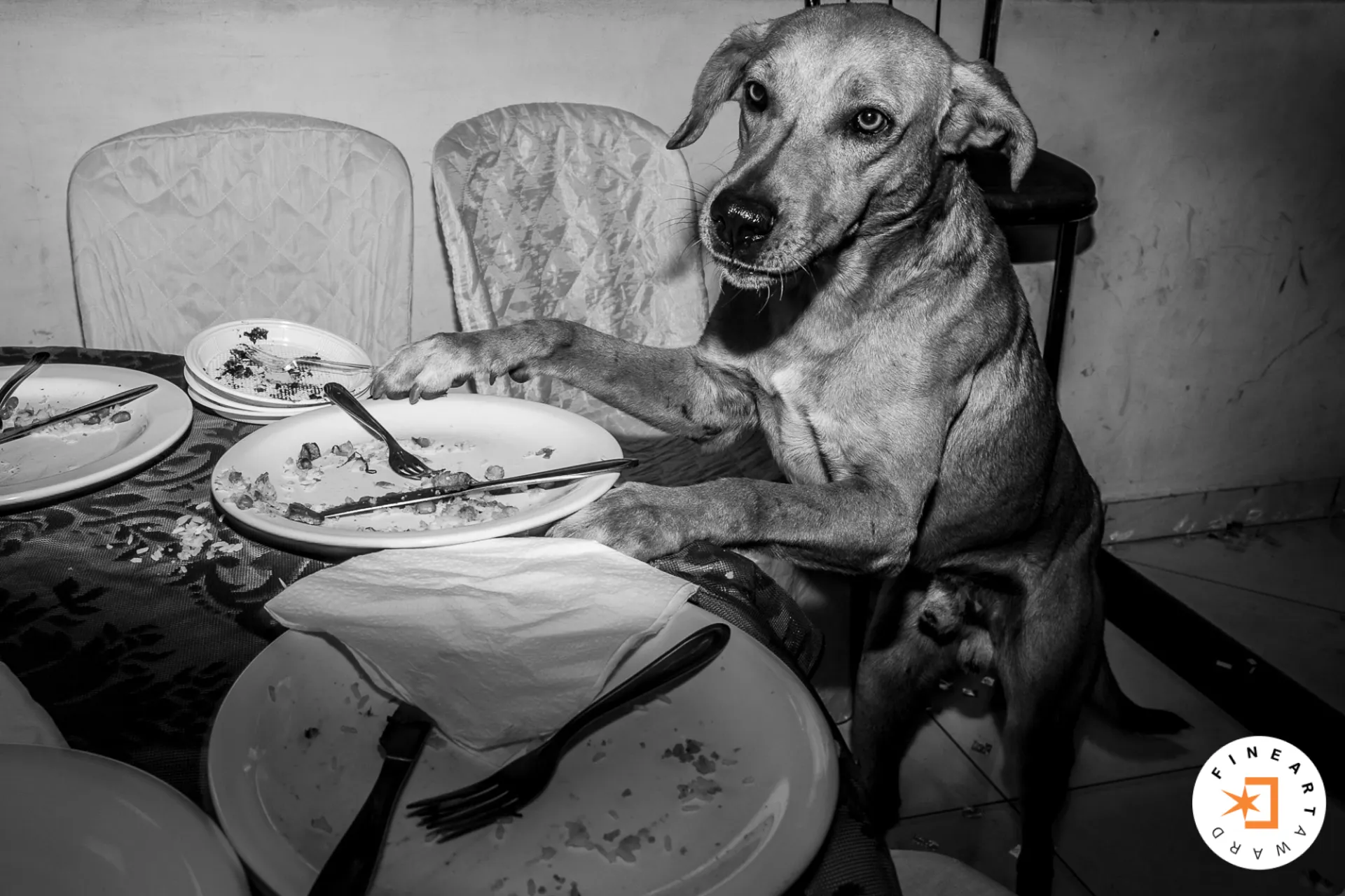 Fotógrafa de Casamentos, Eventos e Momentos em Família - 1 - 2