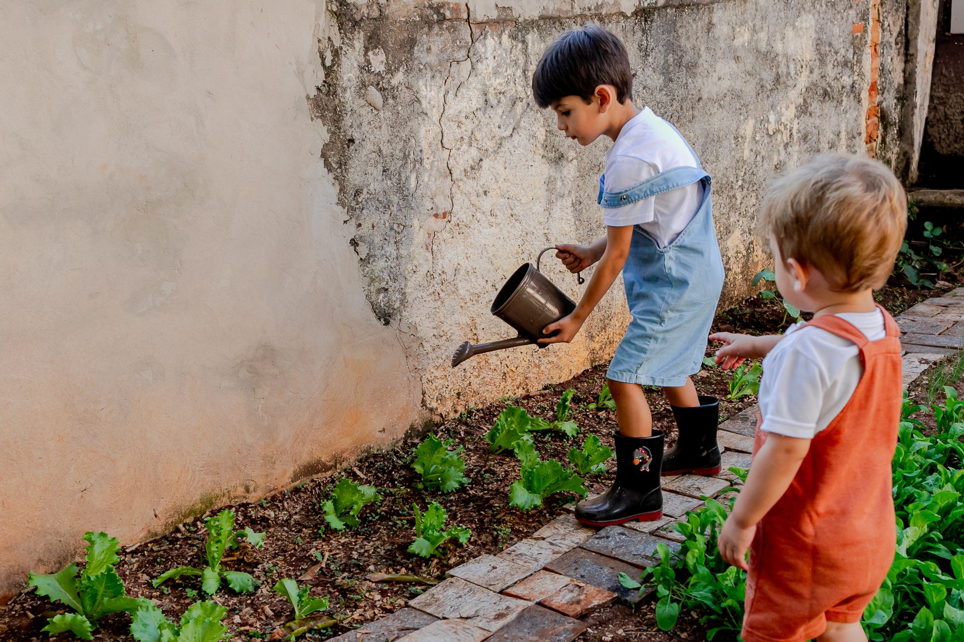 Miguel e Lucas no quintal em Itamogi MG - 2 - 14