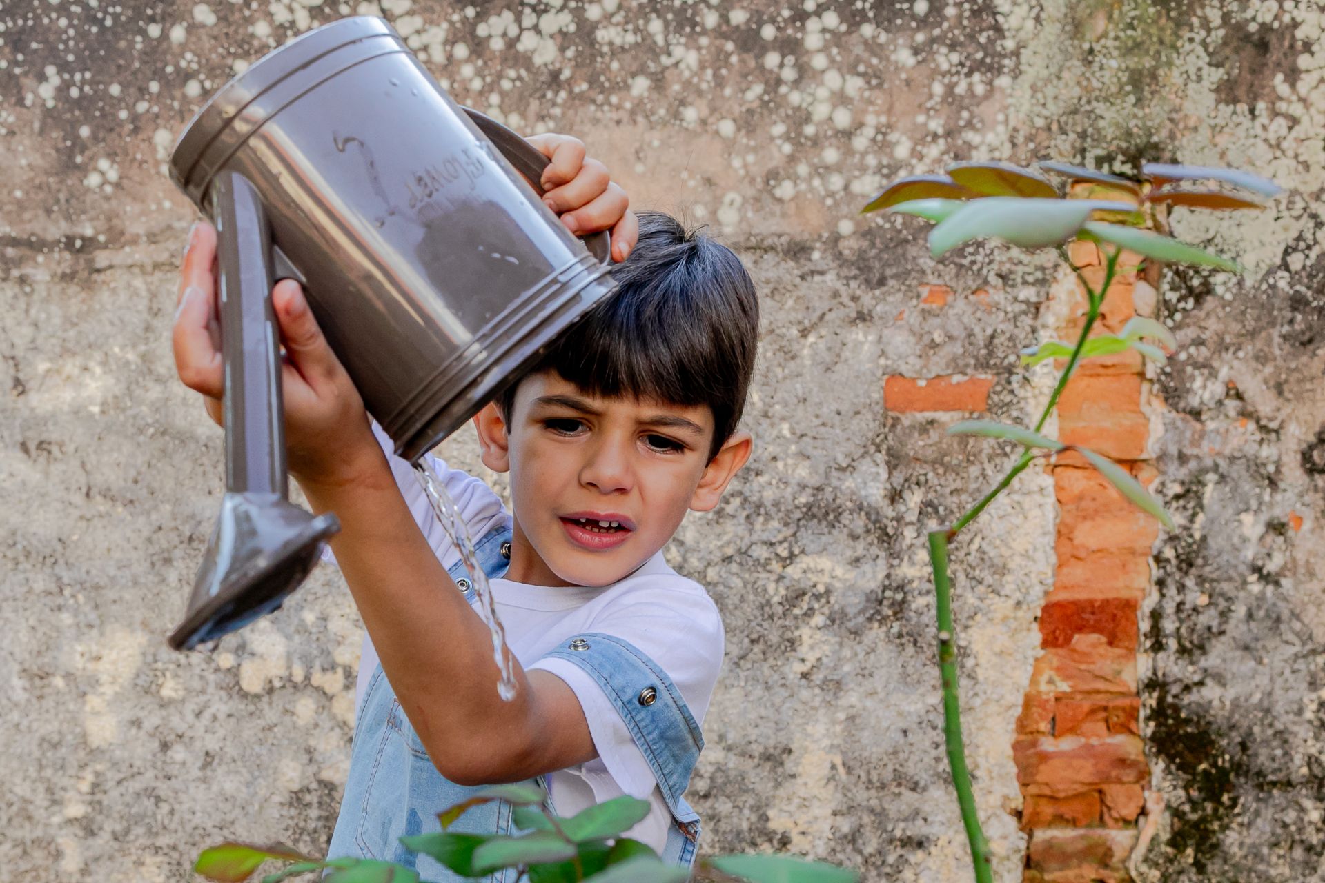 Miguel e Lucas no quintal em Itamogi MG - 2 - 16