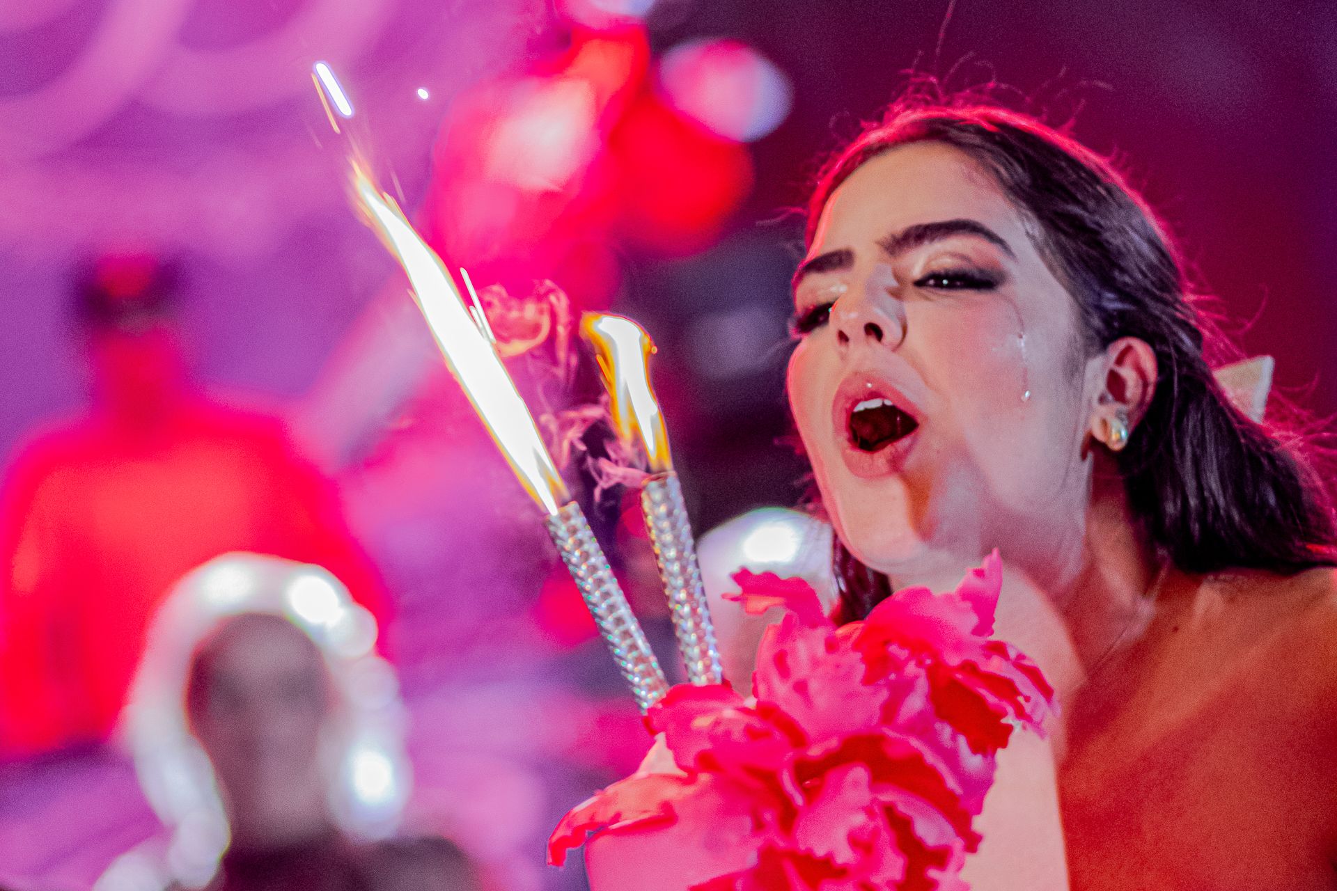 Aniversário da Debutante Beatriz Bertozzi em São Sebastião do Paraíso MG - 2 - 55