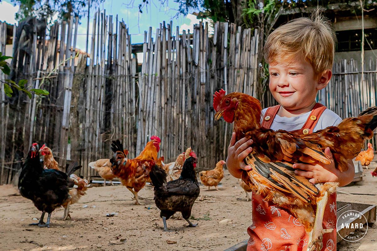 Fotógrafa de Casamentos, Eventos e Momentos em Família - 1 - 0