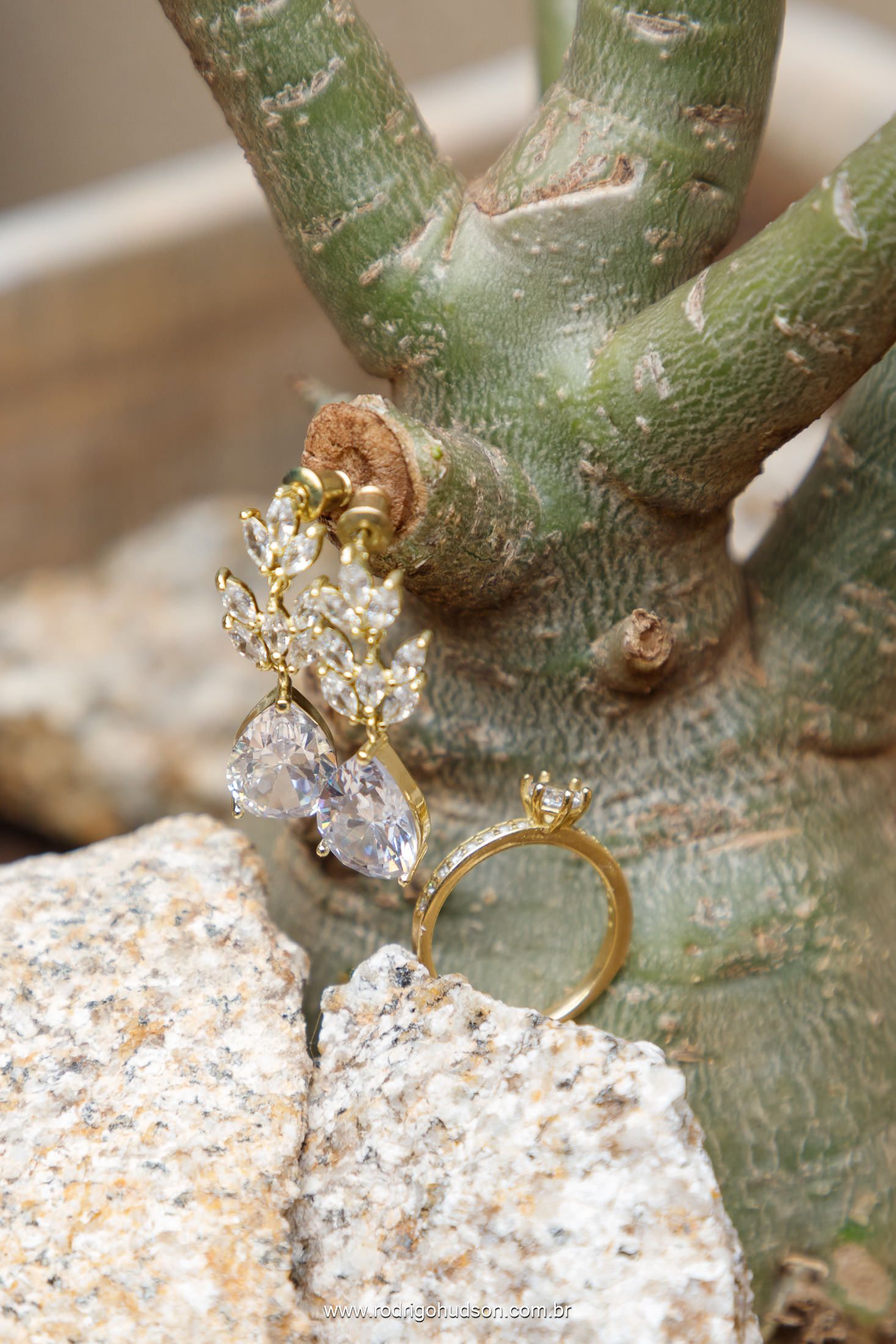 Casamento de Pâmela e Claudemir - Vivace em Monte Alto - SP - 2 - 2