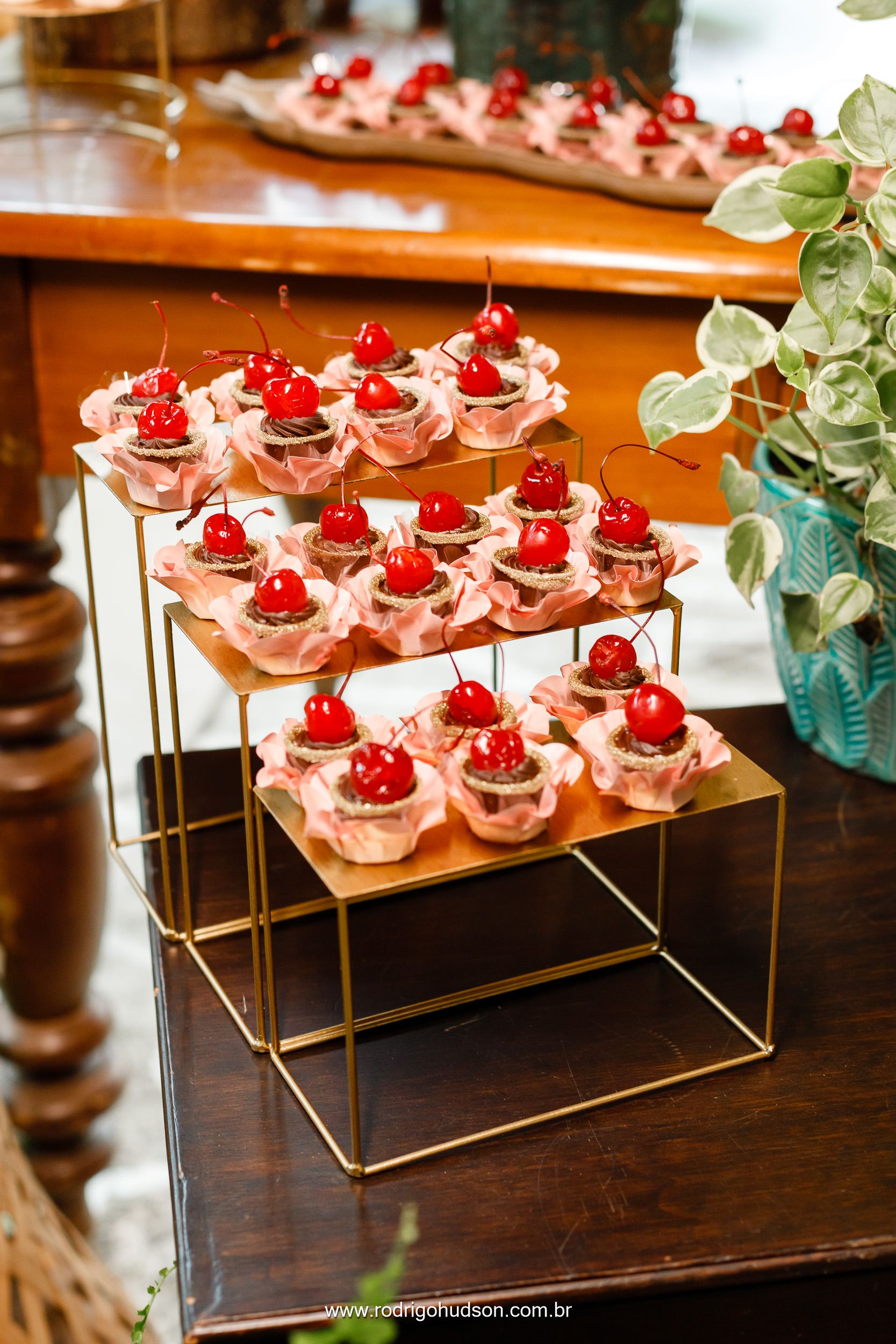 Casamento de Emiliene e Otávio no Sítio dos Eucalíptos em Monte Alto - SP - 1 - 0