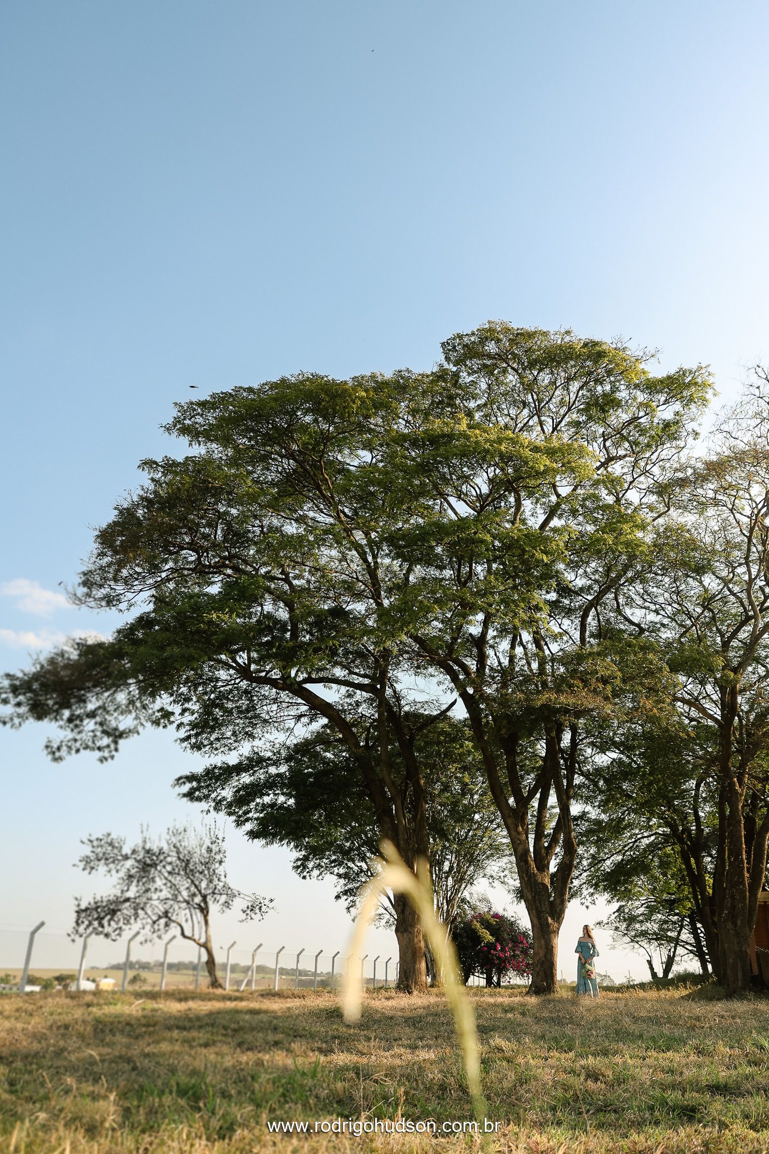 Ensaio de 15 anos de Maria Miotto Cuzzi, Jaboticabal - SP - 1 - 6