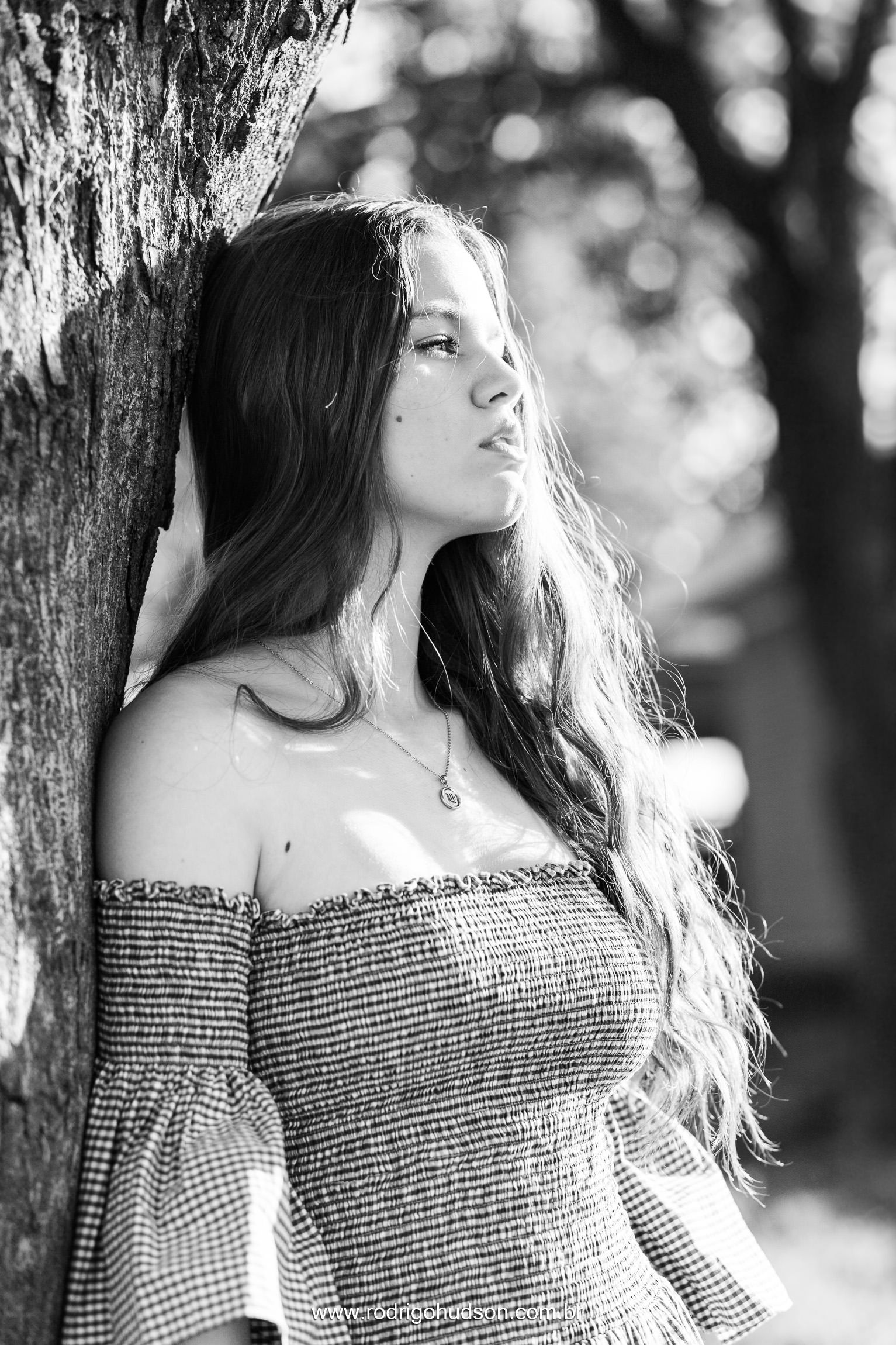 Ensaio de 15 anos de Maria Miotto Cuzzi, Jaboticabal - SP - 1 - 9