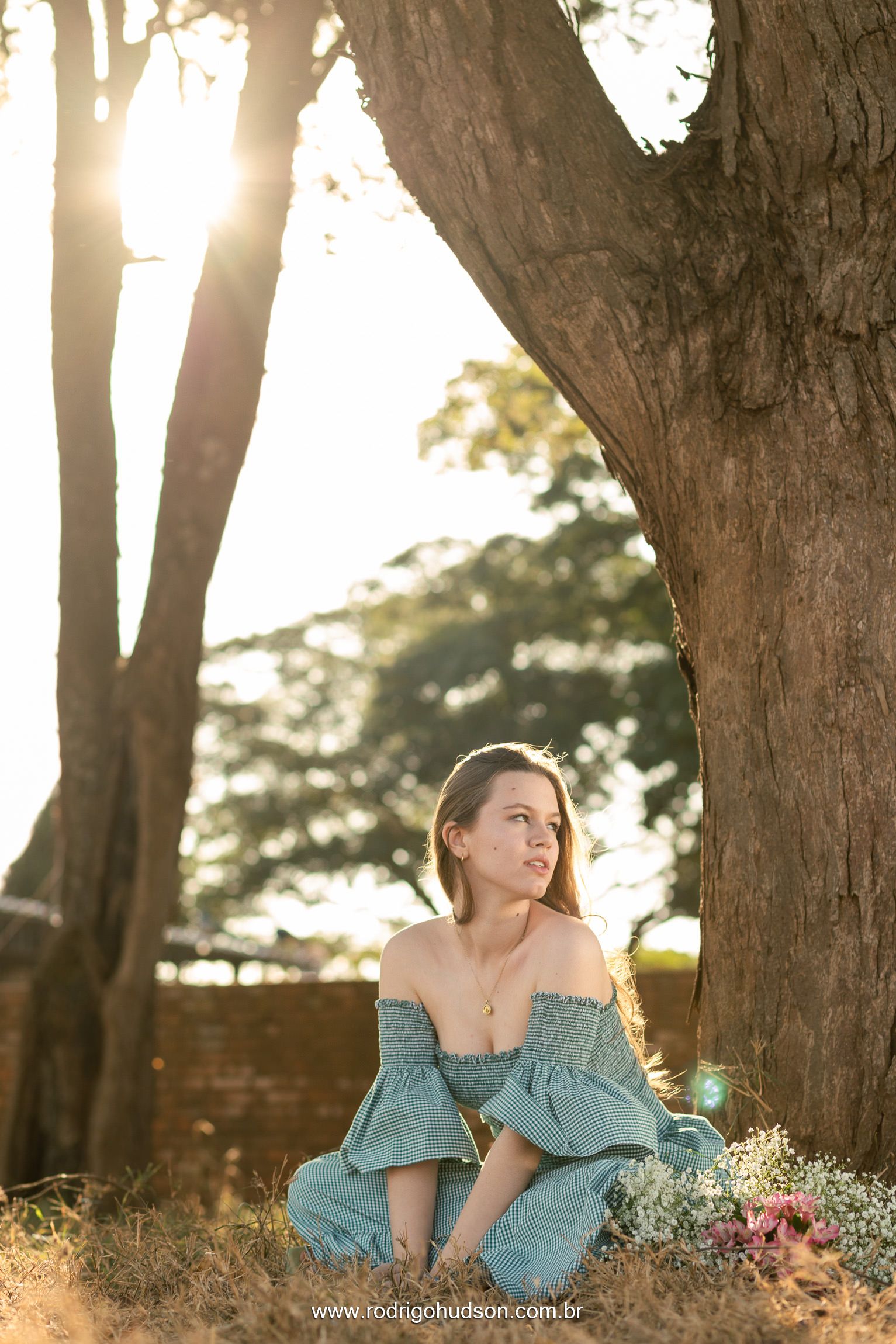 Ensaio de 15 anos de Maria Miotto Cuzzi, Jaboticabal - SP - 1 - 18