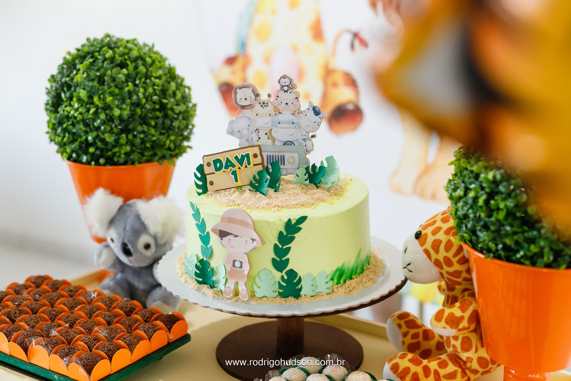 Davi Mithidieri 1 ano - São José do Rio Preto - 1 - 3