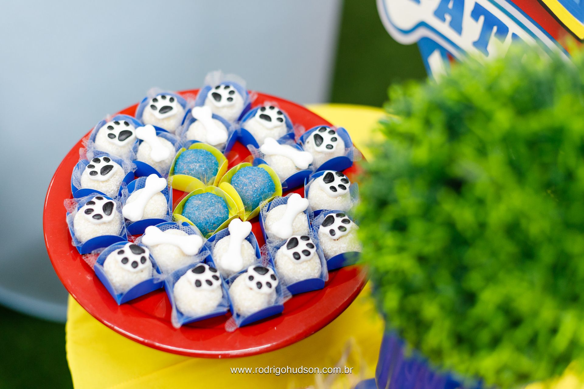 Augusto Bueno 3 anos - 1 - 21