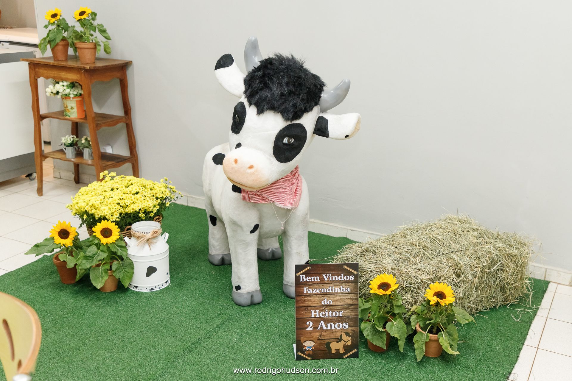 Heitor Berlingieri 2 anos - 1 - 5