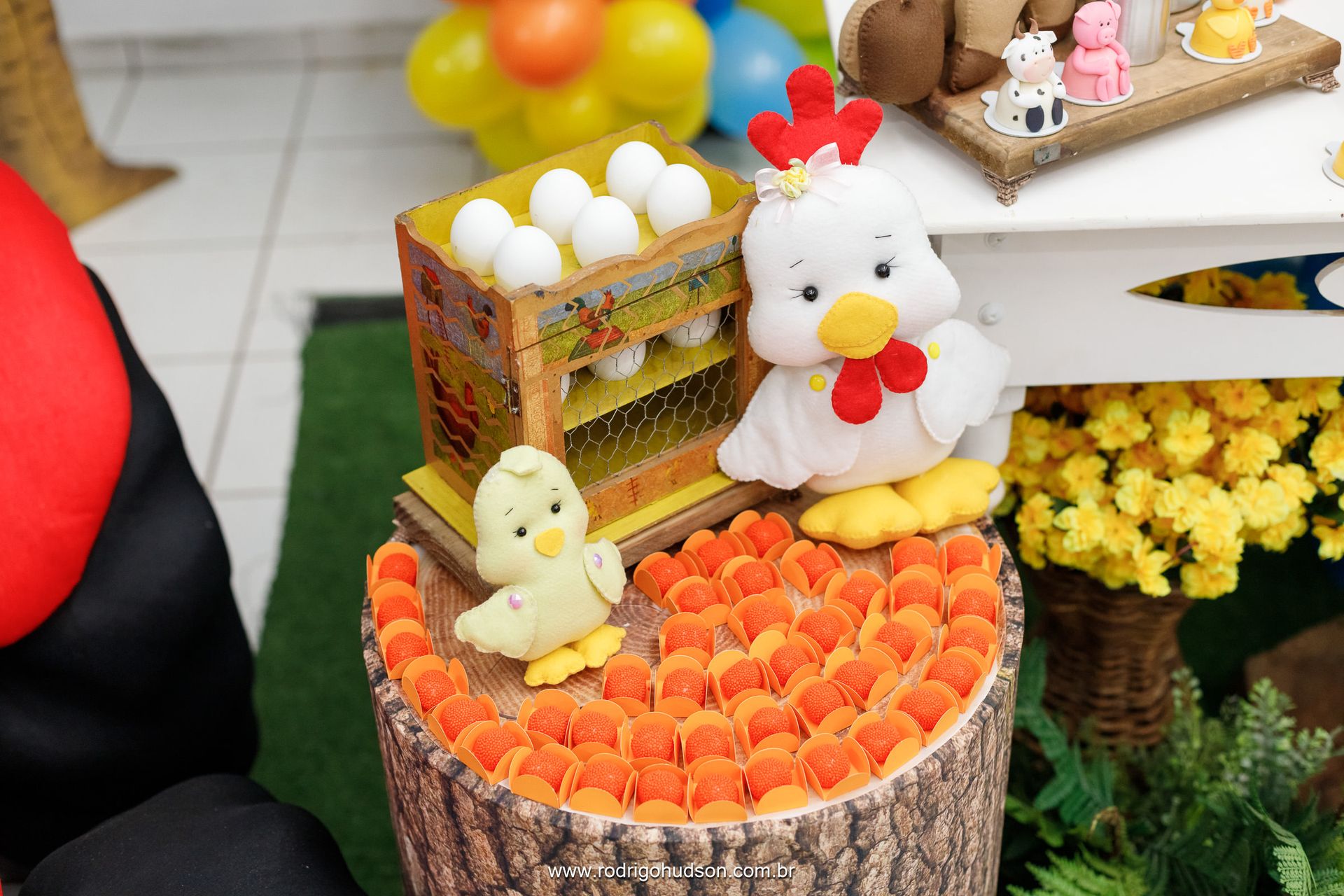 Heitor Berlingieri 2 anos - 1 - 13