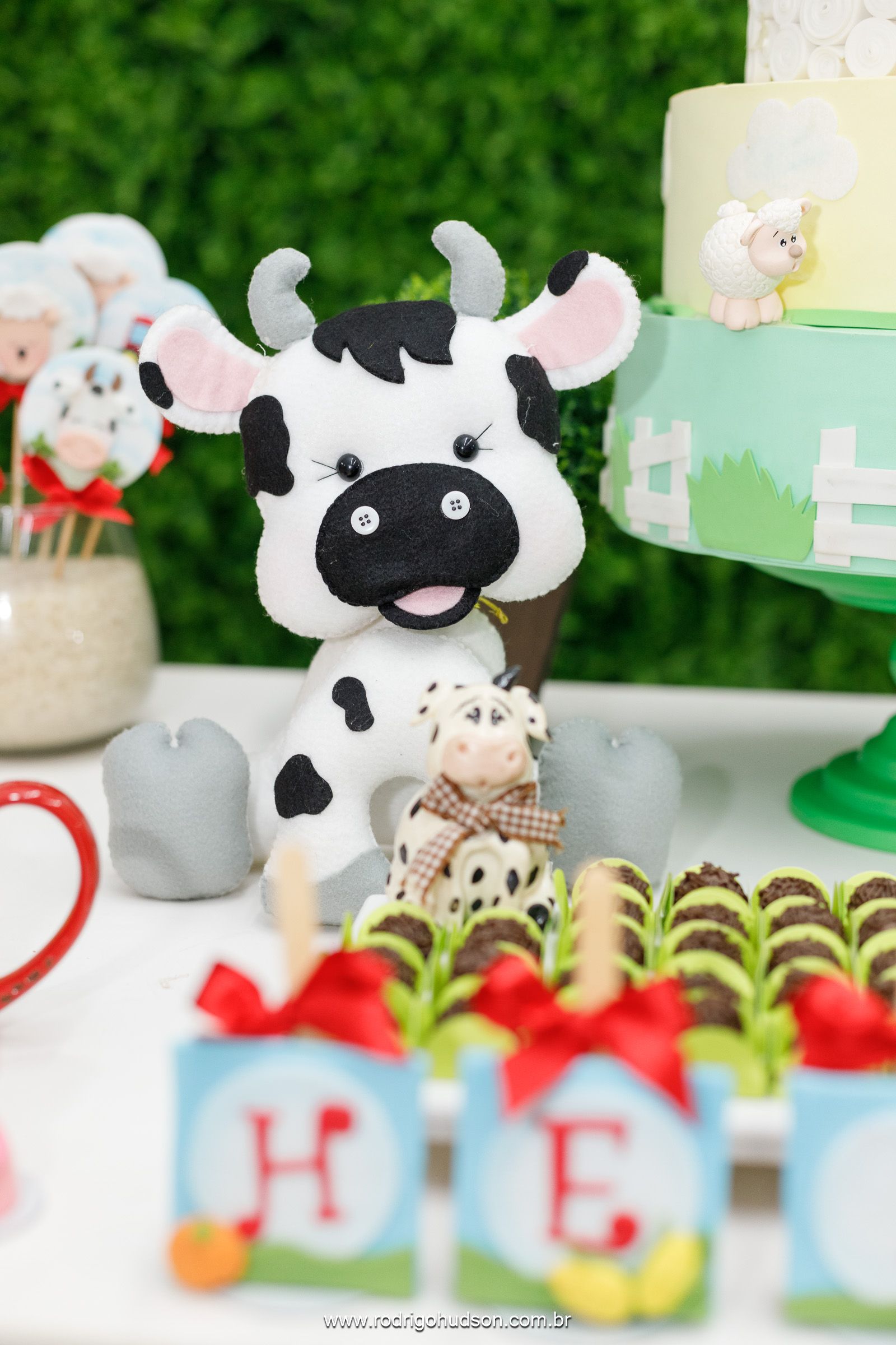 Heitor Berlingieri 2 anos - 1 - 15