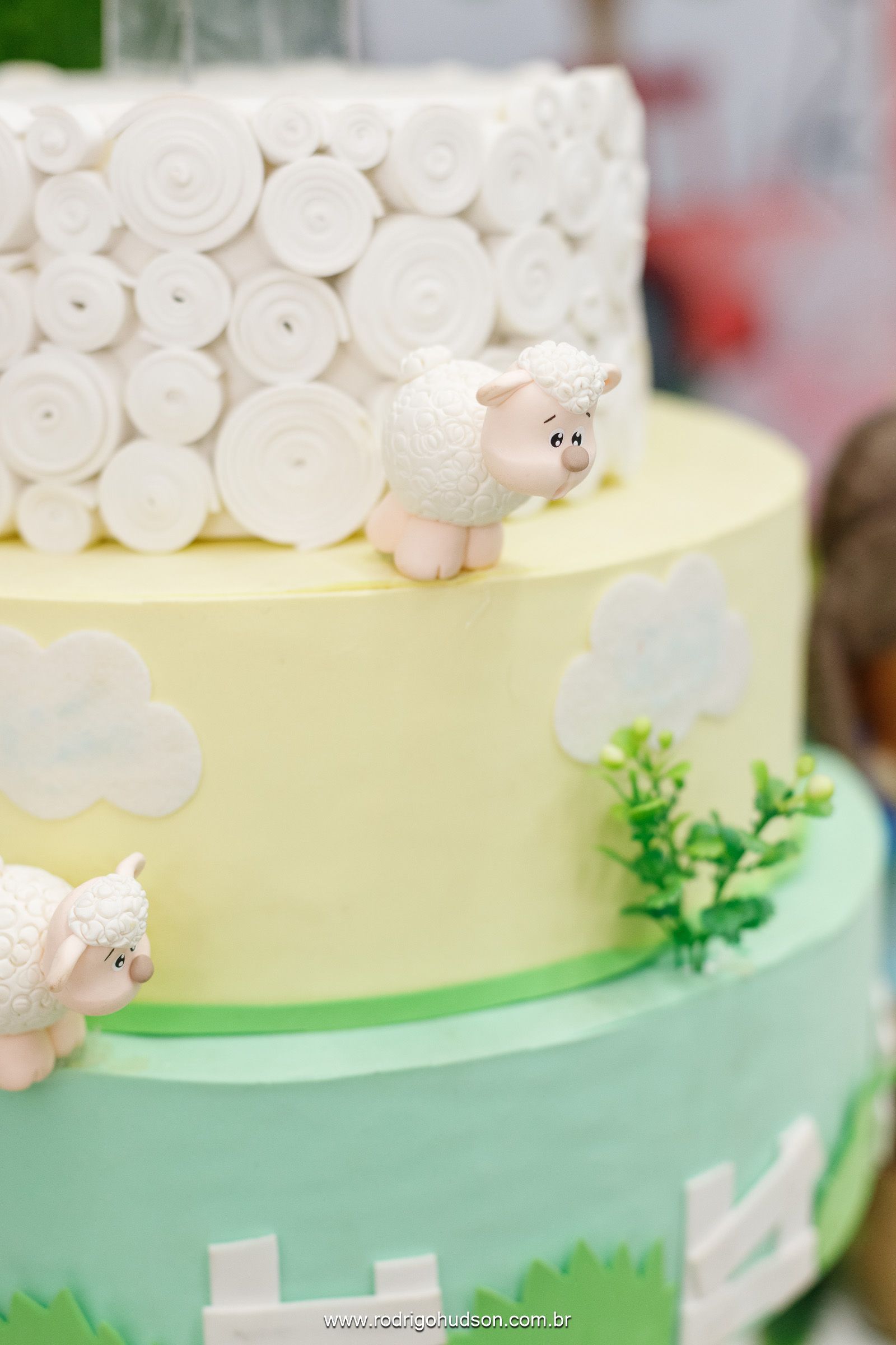 Heitor Berlingieri 2 anos - 1 - 9