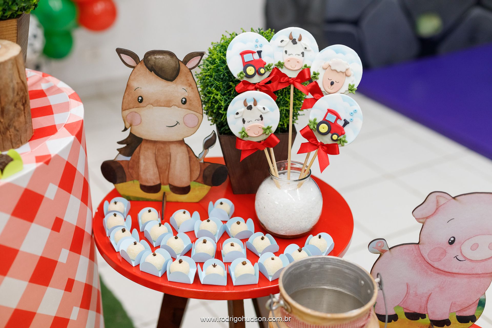 Heitor Berlingieri 2 anos - 1 - 17