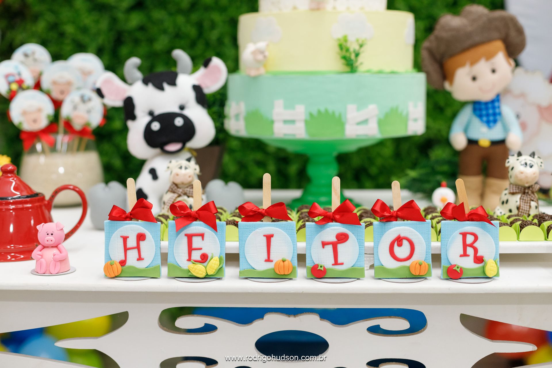 Heitor Berlingieri 2 anos - 1 - 10