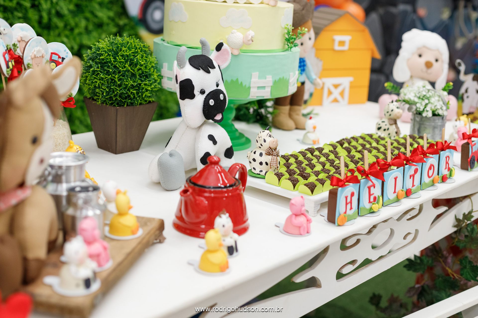 Heitor Berlingieri 2 anos - 1 - 18