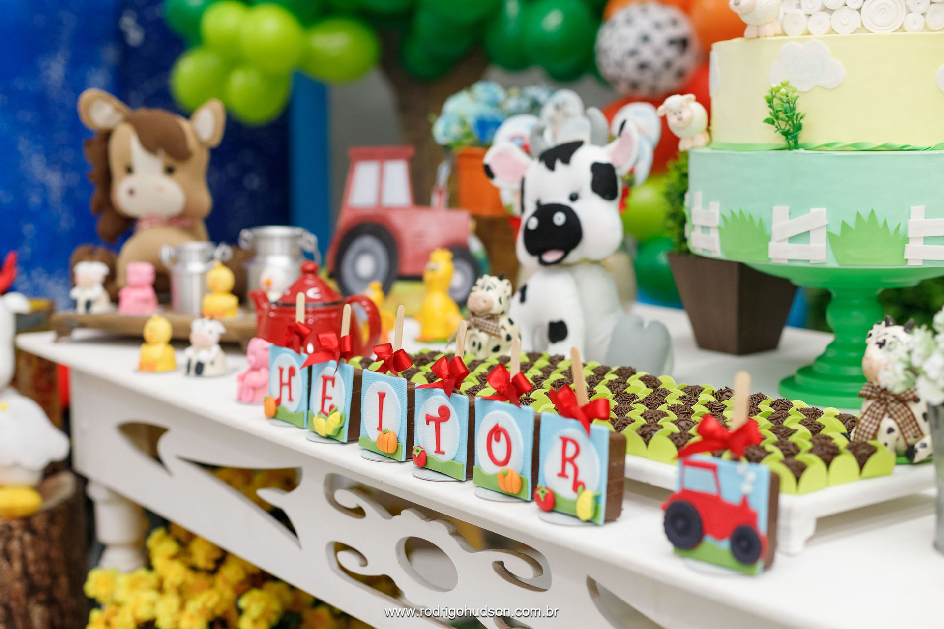 Heitor Berlingieri 2 anos - 1 - 19