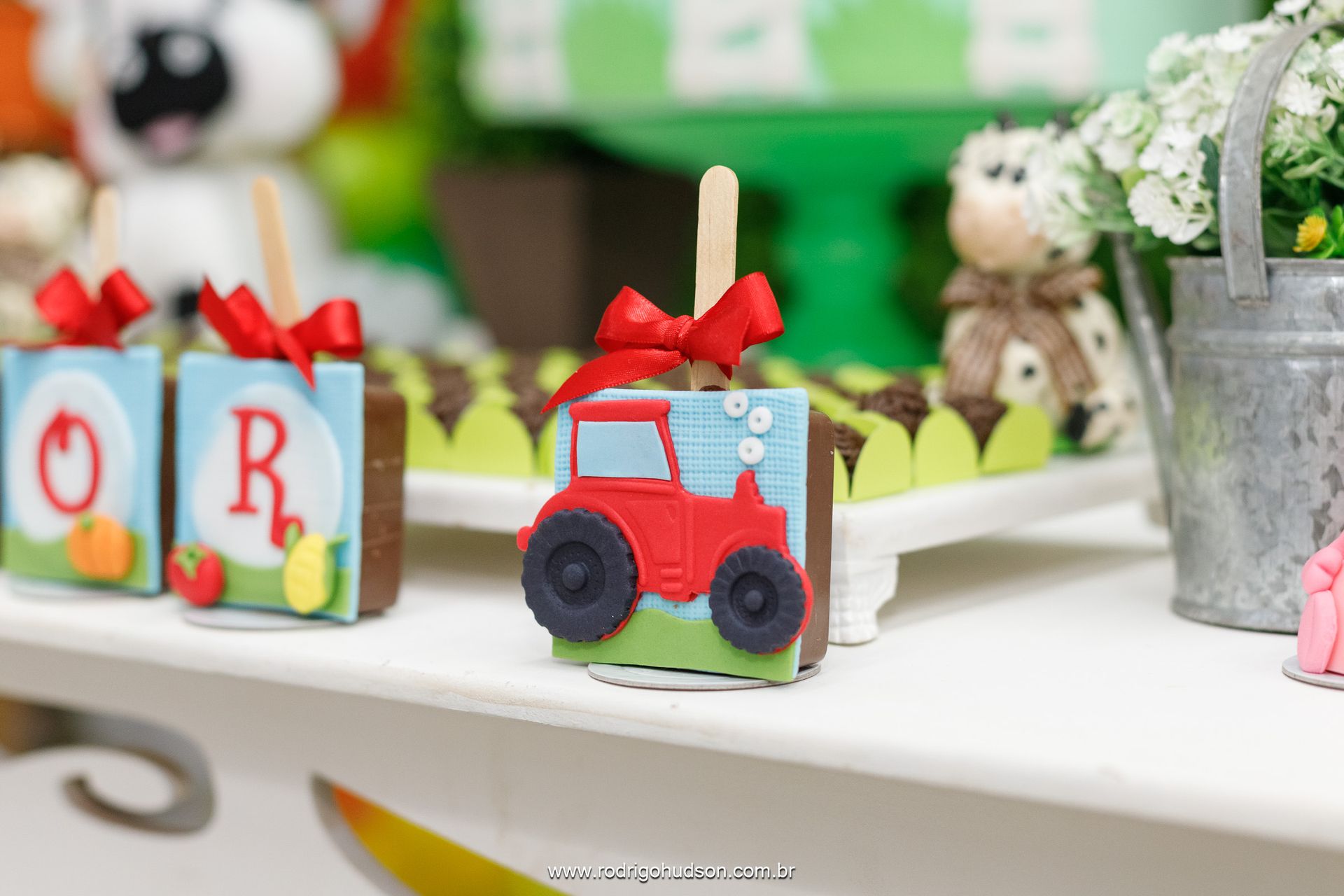 Heitor Berlingieri 2 anos - 1 - 20