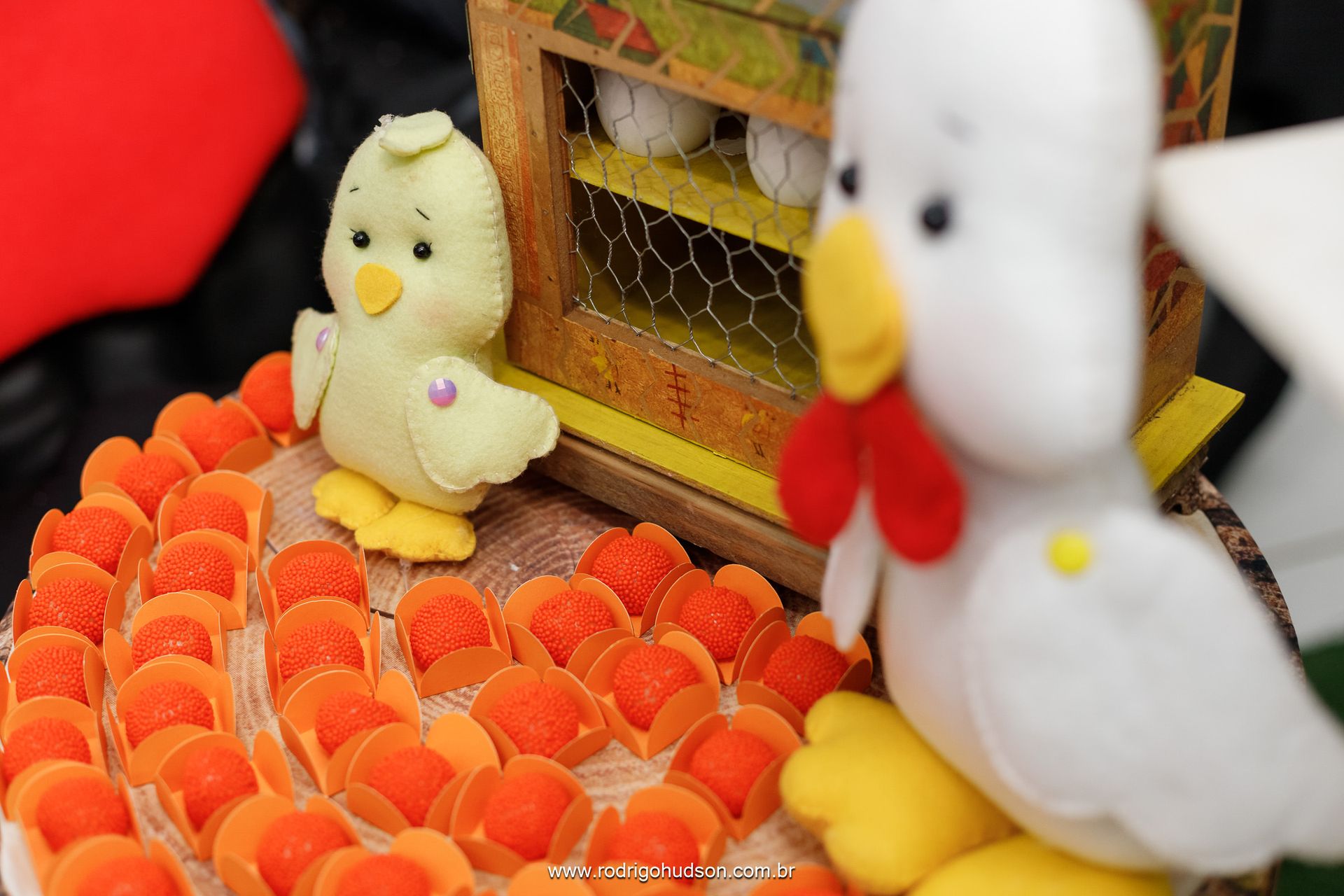 Heitor Berlingieri 2 anos - 1 - 21