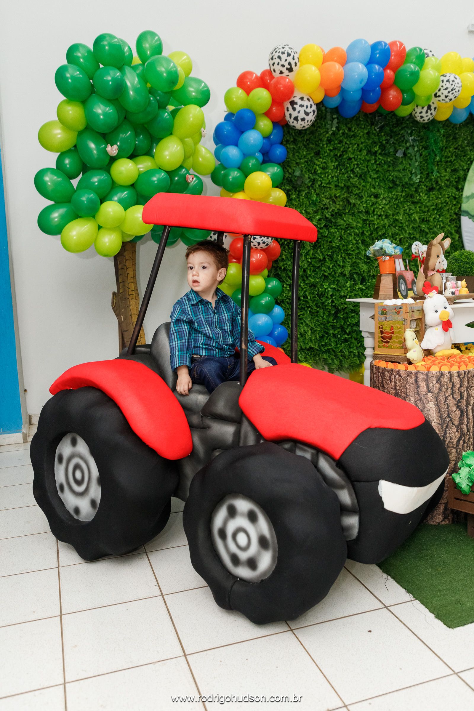 Heitor Berlingieri 2 anos - 1 - 29