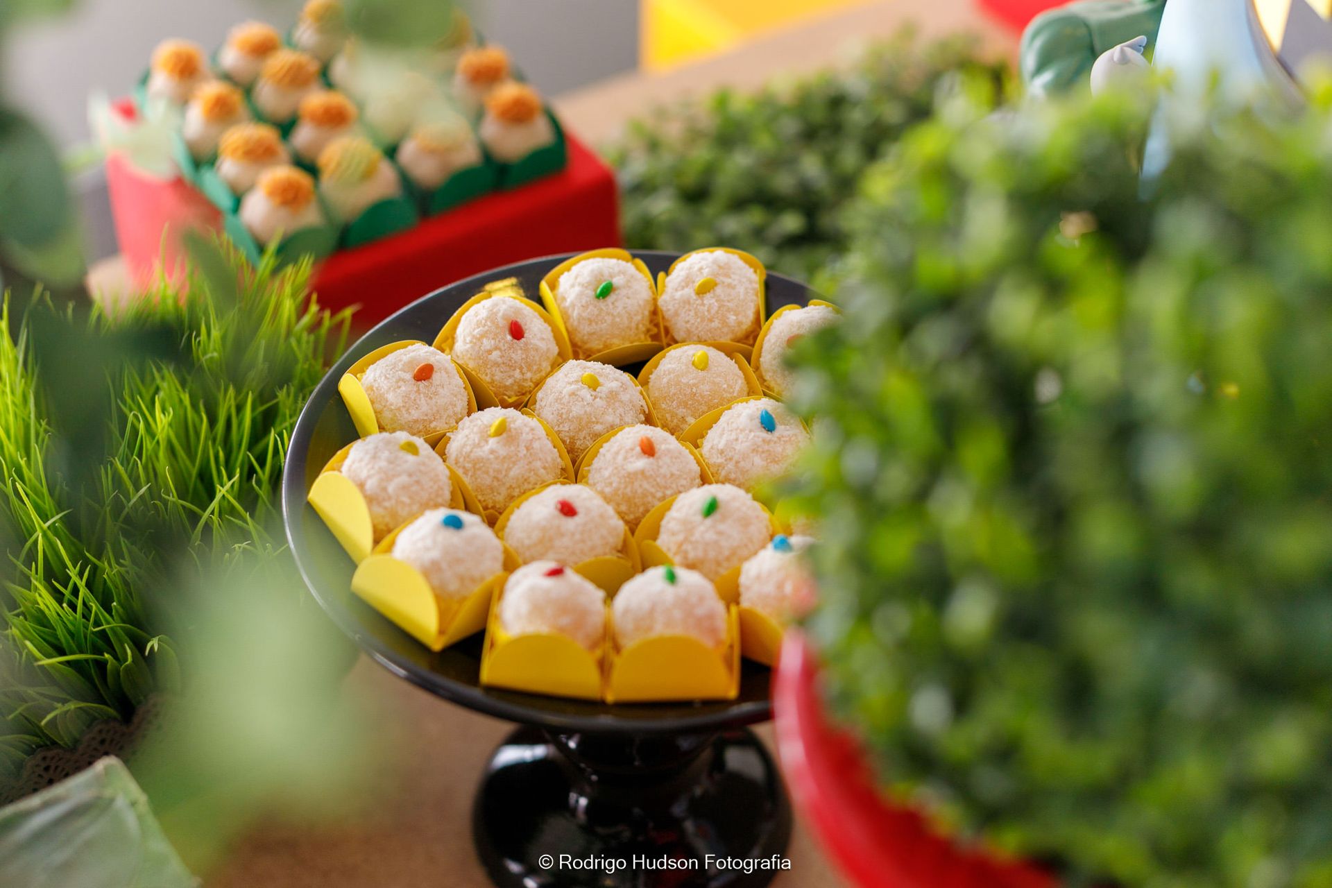 Antônio Chioda 5 anos - 1 - 29