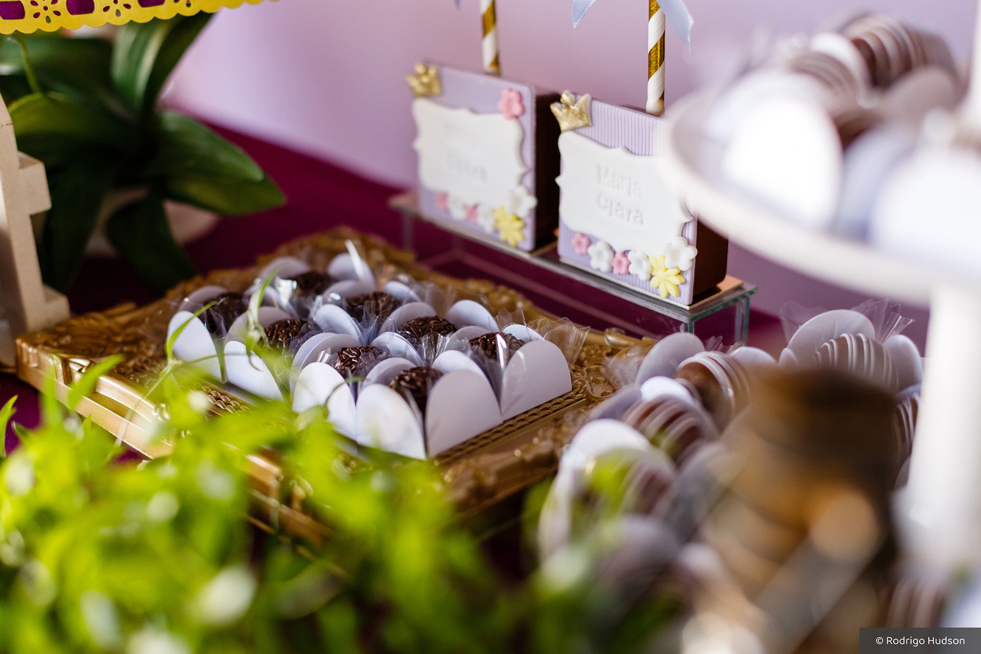 Maria Clara Bergamaschi 4 anos - 1 - 3