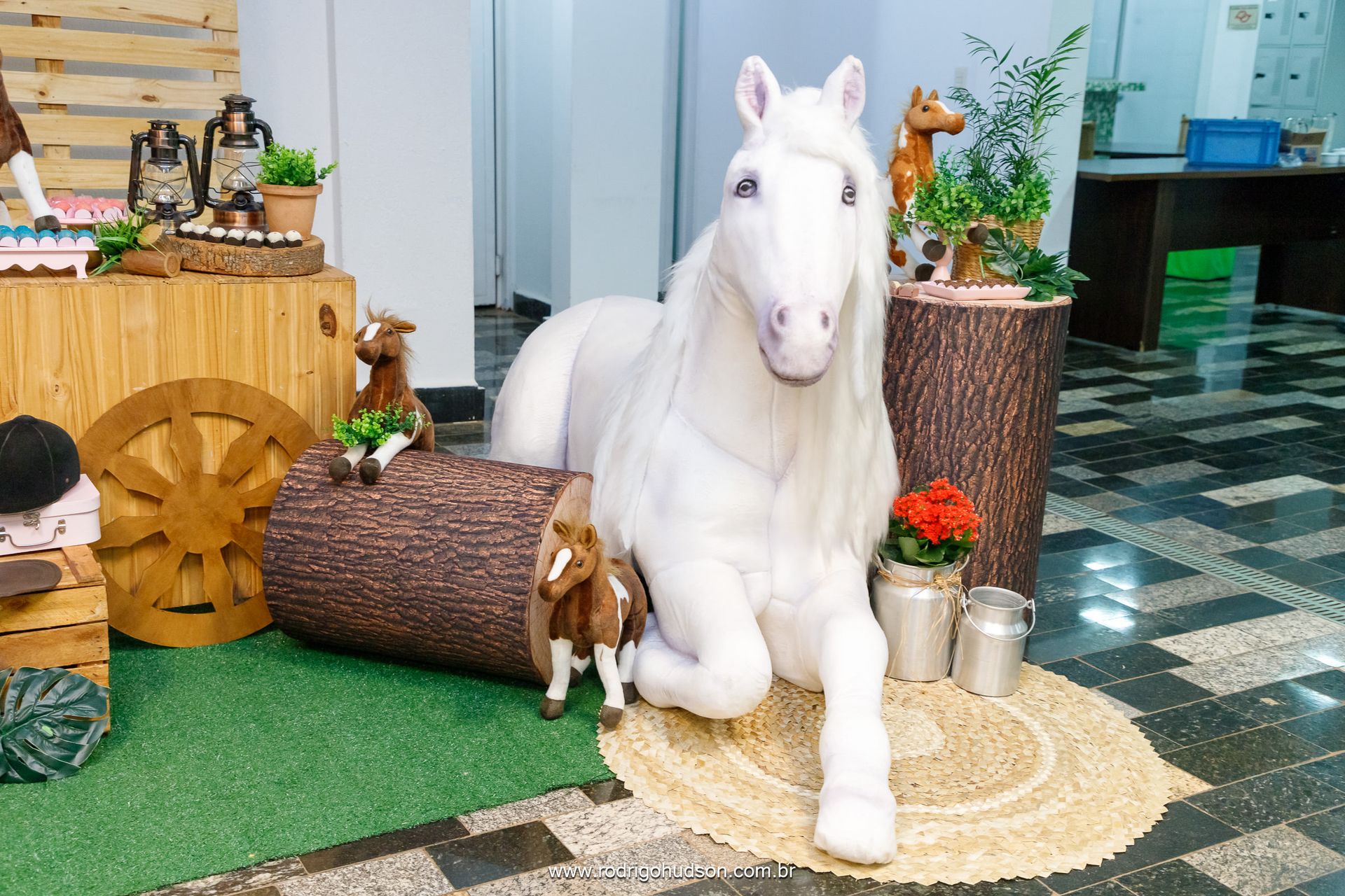 Catarina Prado 9 anos - 1 - 1