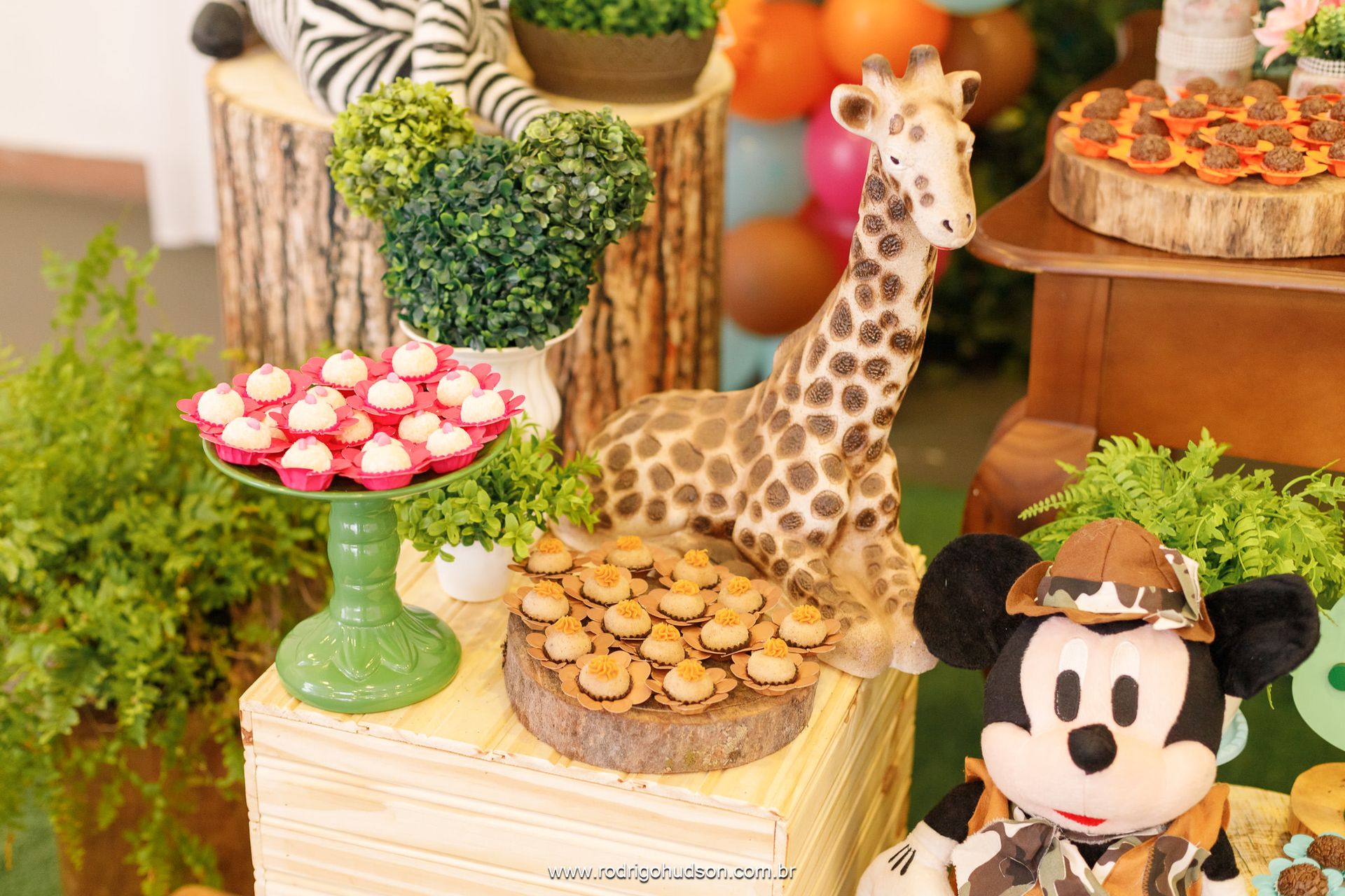 Giovana Carregari 2 anos - 1 - 8