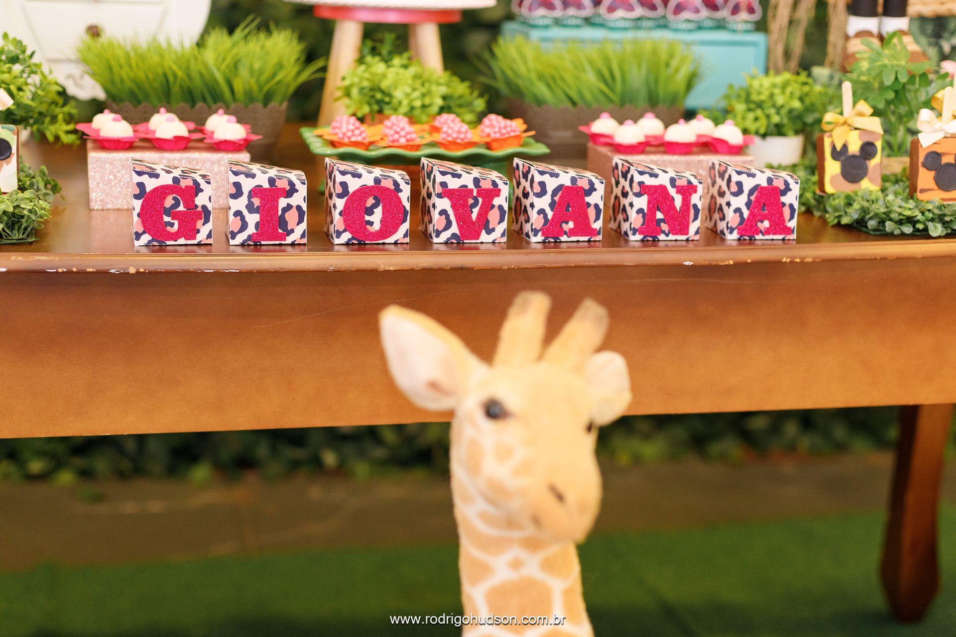 Giovana Carregari 2 anos - 1 - 10