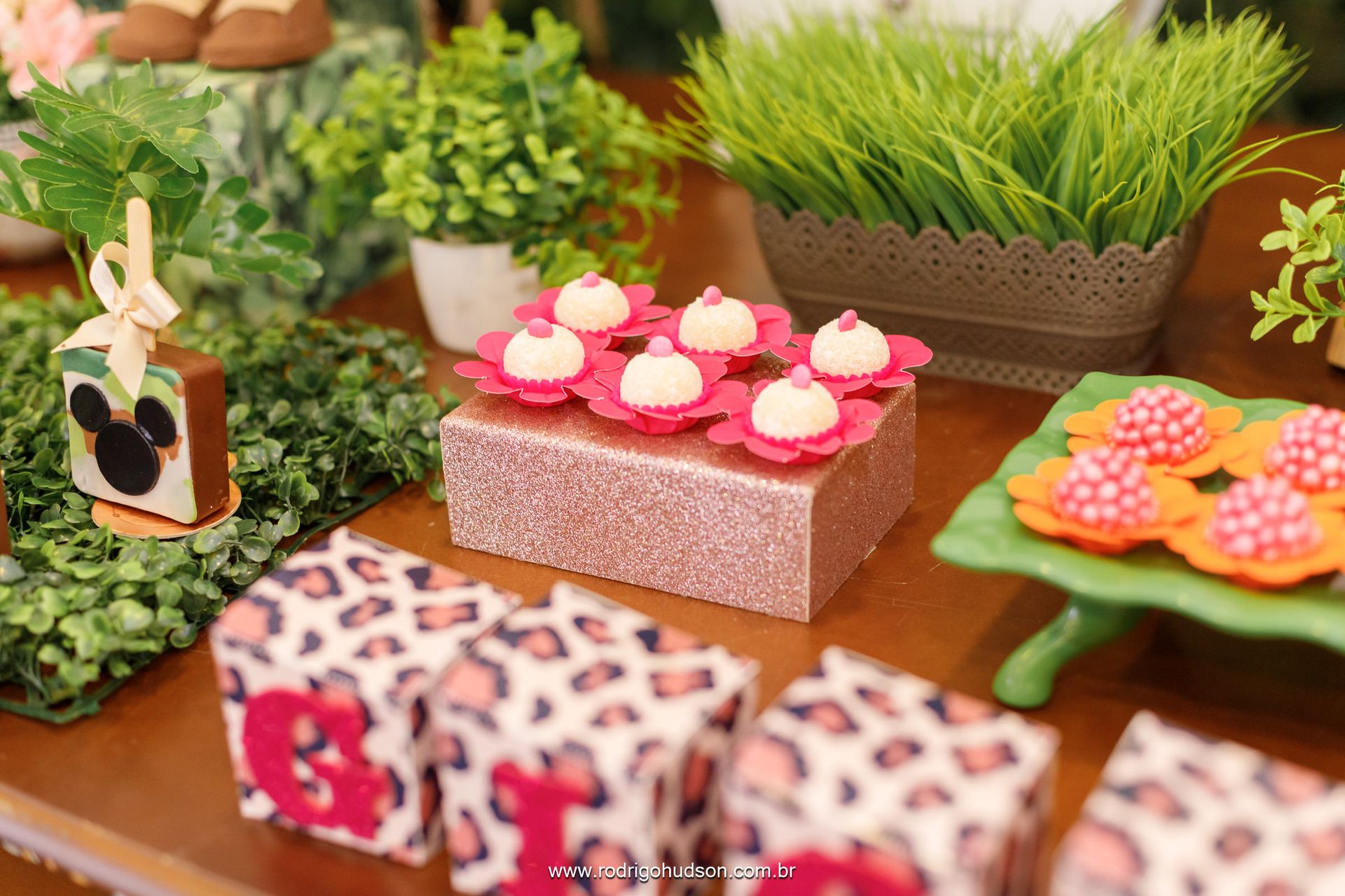 Giovana Carregari 2 anos - 1 - 13